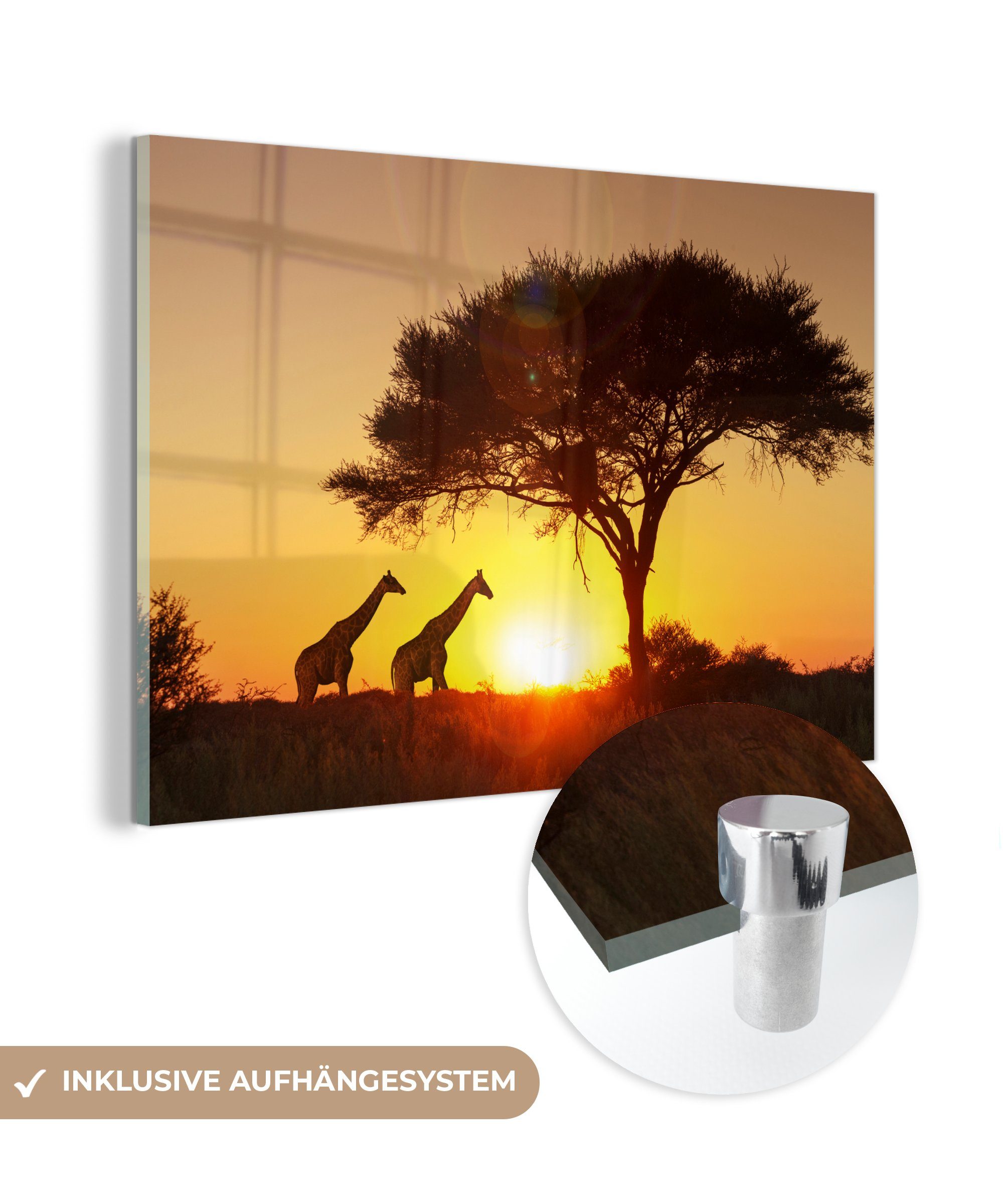 MuchoWow Acrylglasbild Giraffen vor der untergehenden Sonne, (1 St), Acrylglasbilder Wohnzimmer & Schlafzimmer | Bilder