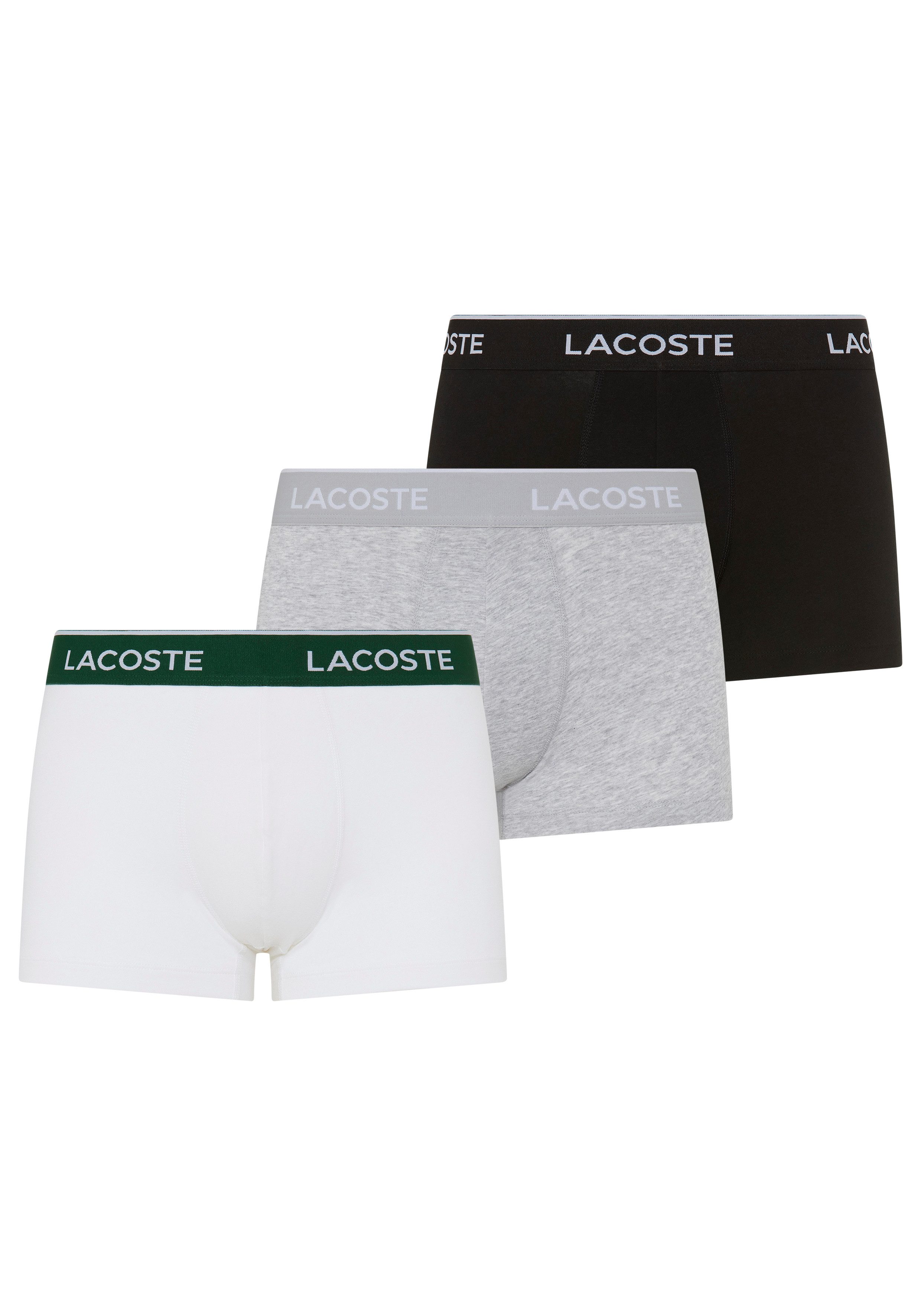 Lacoste Trunk (Packung, 3er) mit Lacoste-Schriftzug am Bund