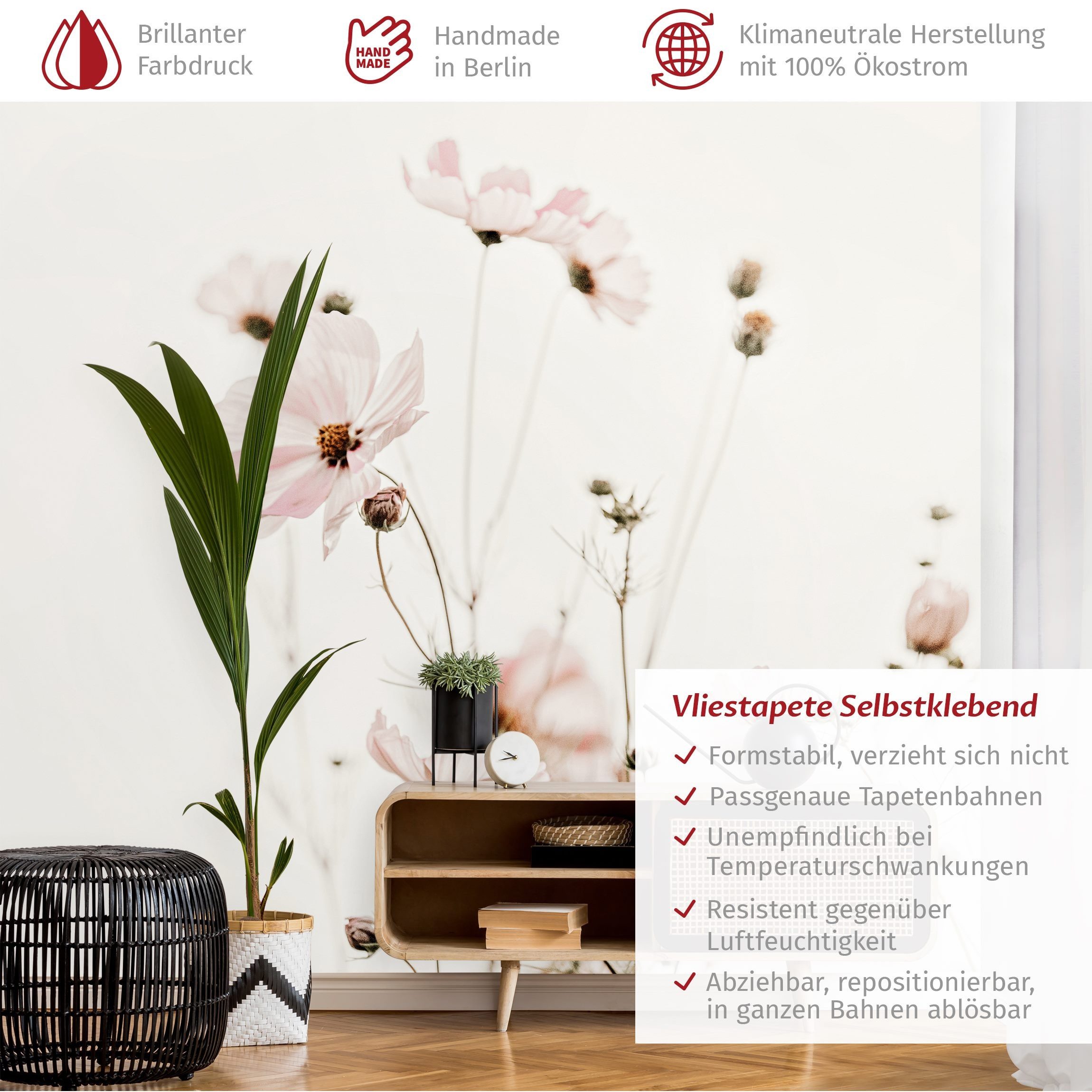 Bilderdepot24 Fototapete Blumen Cosmea zarten Cremetönen günstig online kaufen