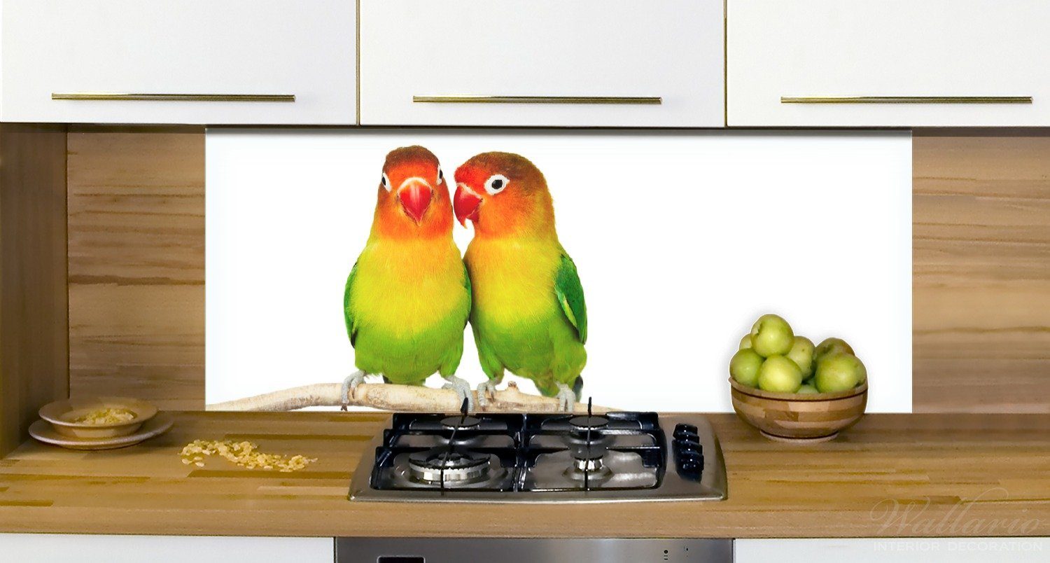 Wallario dünnen (1-tlg) Küchenrückwand auf dem Ast, Papageien