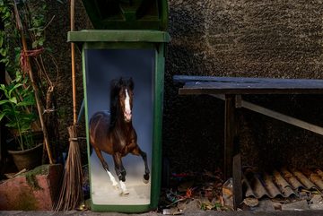 MuchoWow Wandsticker Pferde - Tiere - Sand (1 St), Mülleimer-aufkleber, Mülltonne, Sticker, Container, Abfalbehälter