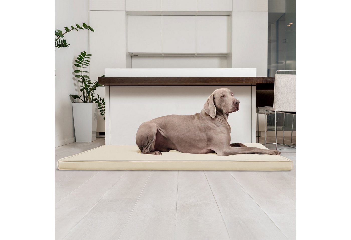 Thumbnail - tierlando® Tierbett CARLOS Ortho-Medic Orthopädische Hundematte Kunstleder Visco, Abwischbar, Haar resistent, ergonomisc...
