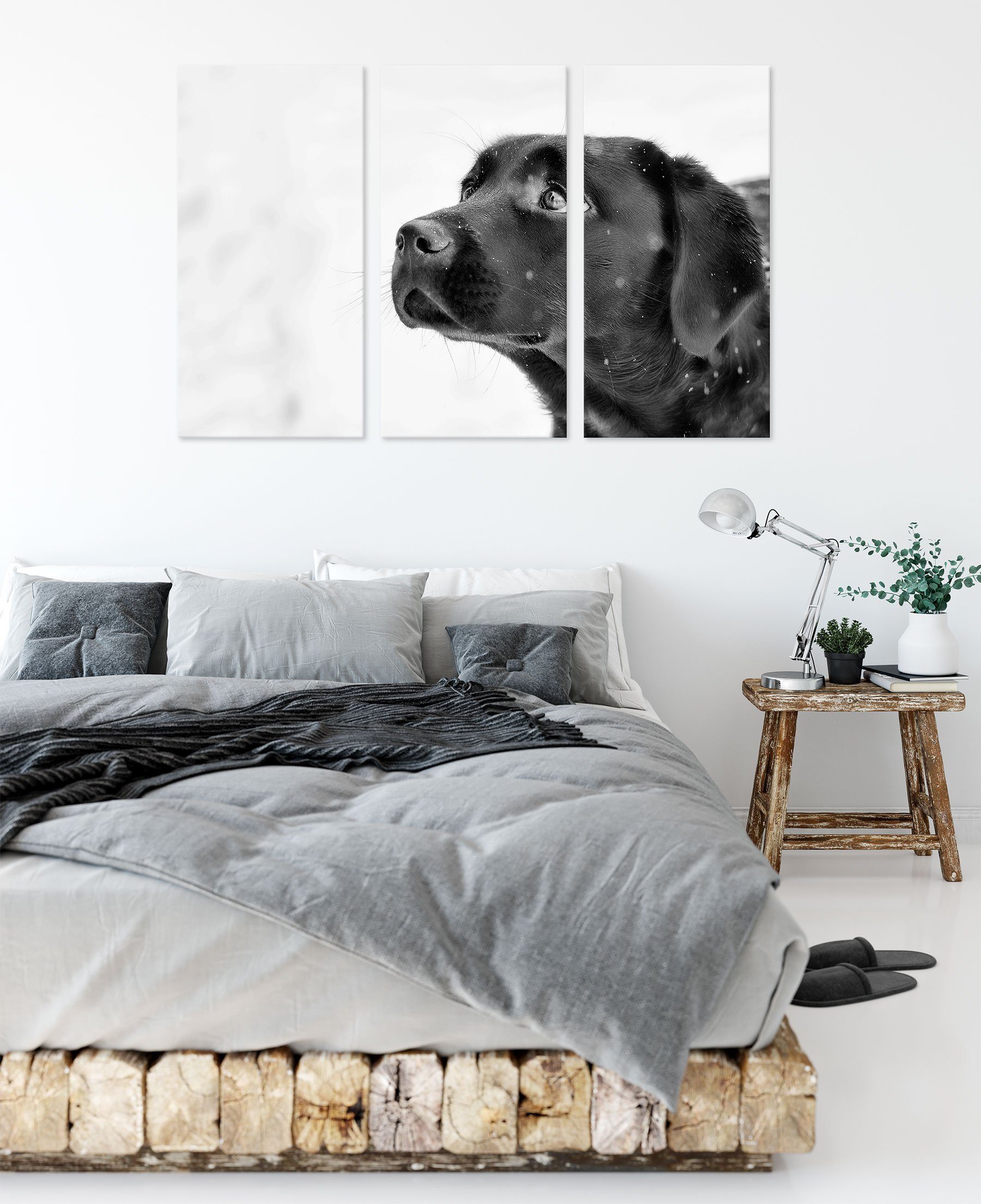 Pixxprint Leinwandbild Schwarzer Labrador Schwarzer im inkl. (120x80cm) bespannt, fertig St), Schnee im 3Teiler Schnee, Labrador Leinwandbild (1 Zackenaufhänger