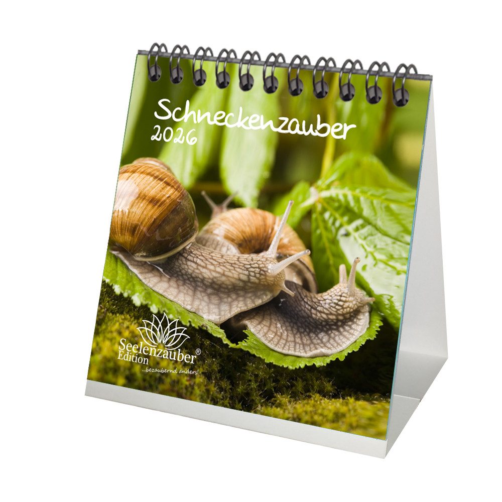 Seelenzauber Tischkalender Schneckenzauber Tischkalender 10cm x 10cm für 2026 Schnecken