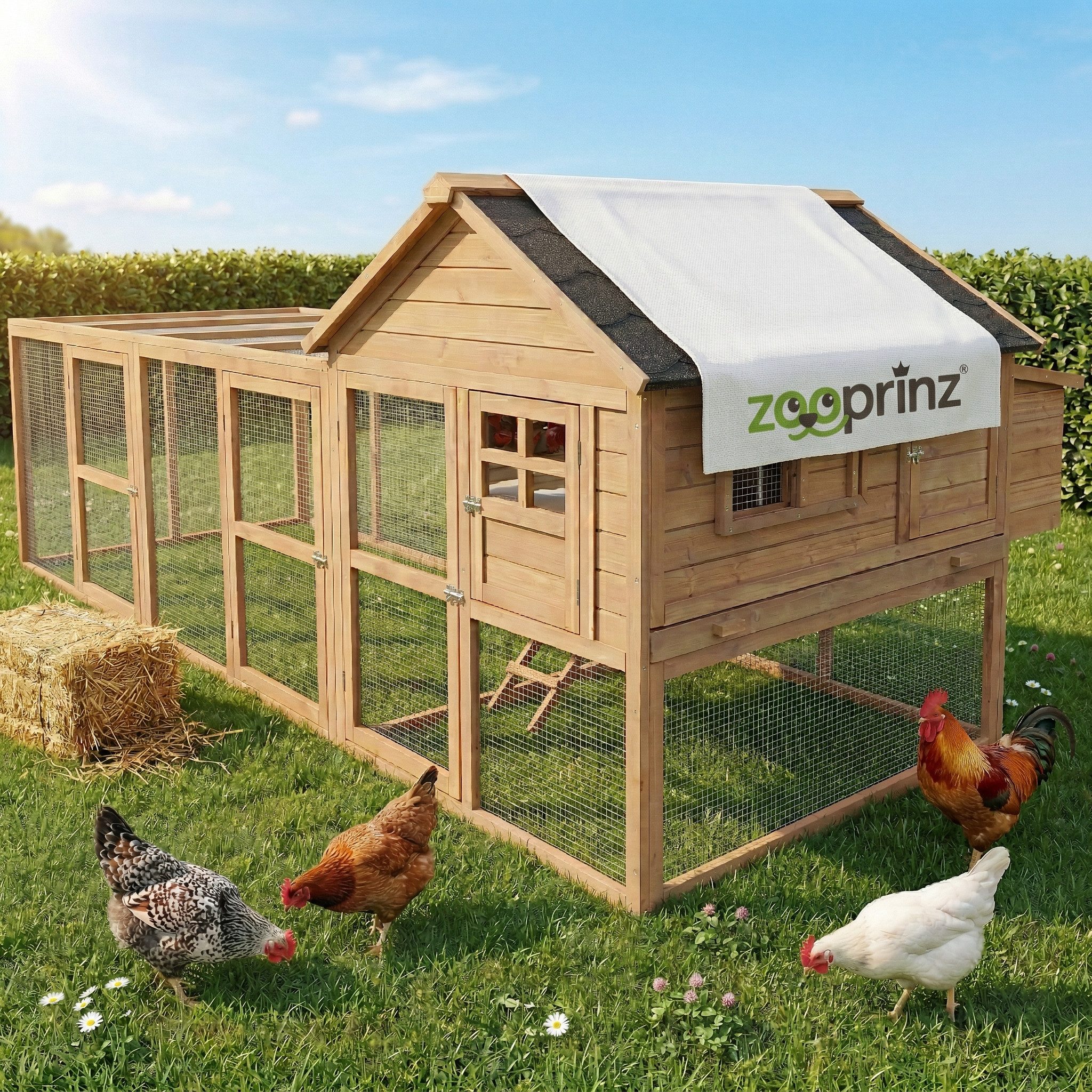 Zooprinz Hühnerstall Hühnerhaus Hühnervoliere Happy Huhn XXL mit Freilauf Wetterfest, Winterfest, Nistkasten, Kotschublade, Sitzstangen, Hühnerleiter