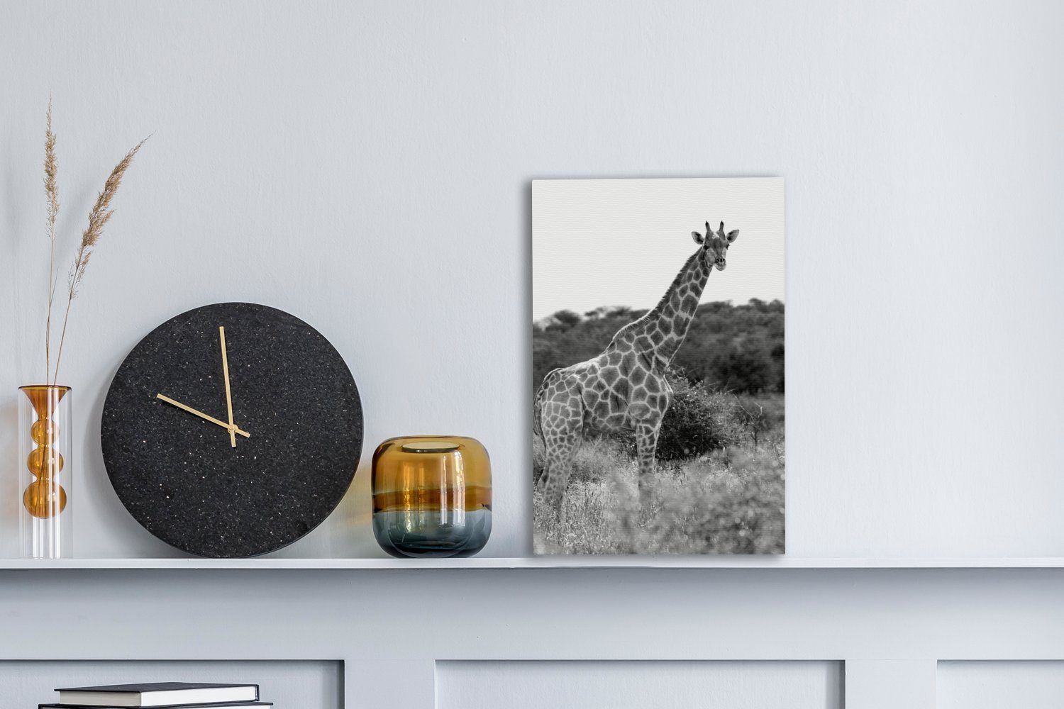 OneMillionCanvasses® Leinwandbild Giraffe in Natur - bespannt cm weiß, (1 20x30 schwarz fertig der Zackenaufhänger, St), inkl. und Leinwandbild Gemälde