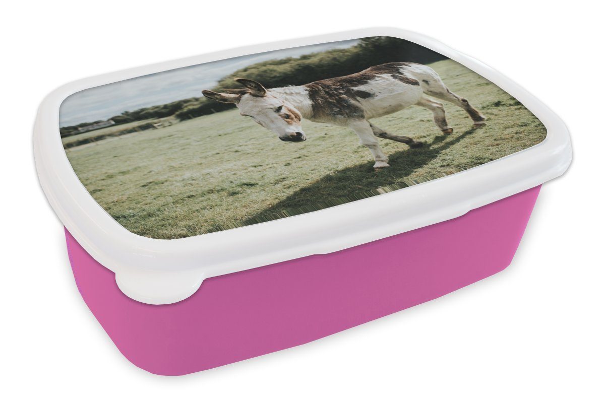 MuchoWow Lunchbox Esel im Grasland, Kunststoff, (2-tlg), Brotbox für Erwachsene, Brotdose Kinder, Snackbox, Mädchen, Kunststoff rosa