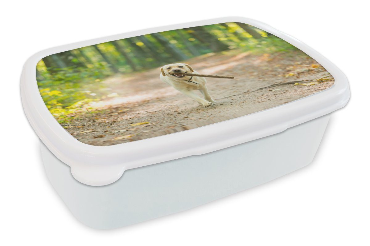 MuchoWow Lunchbox Hund - Wald - Bäume, Kunststoff, (2-tlg), Brotbox für Kinder und Erwachsene, Brotdose, für Jungs und Mädchen weiß | Lunchboxen