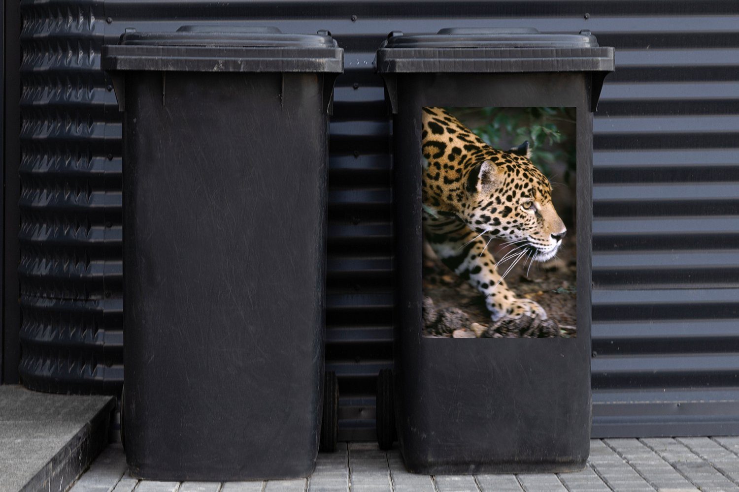 Abfalbehälter St), Wandsticker Mülleimer-aufkleber, im Schleichender Wald Jaguar MuchoWow Container, Sticker, Mülltonne, (1