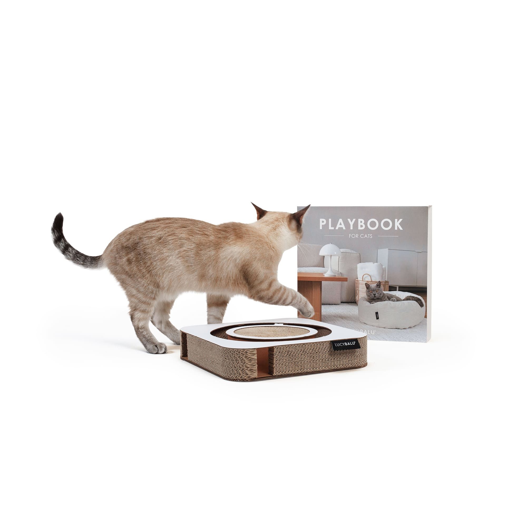 LucyBalu Tier-Beschäftigungsspielzeug PLAYBOOK Interaktives Katzen Spielzeug, Kratzbrett mit Ball, Katzenspielzeug mit Table-Book-Hülle