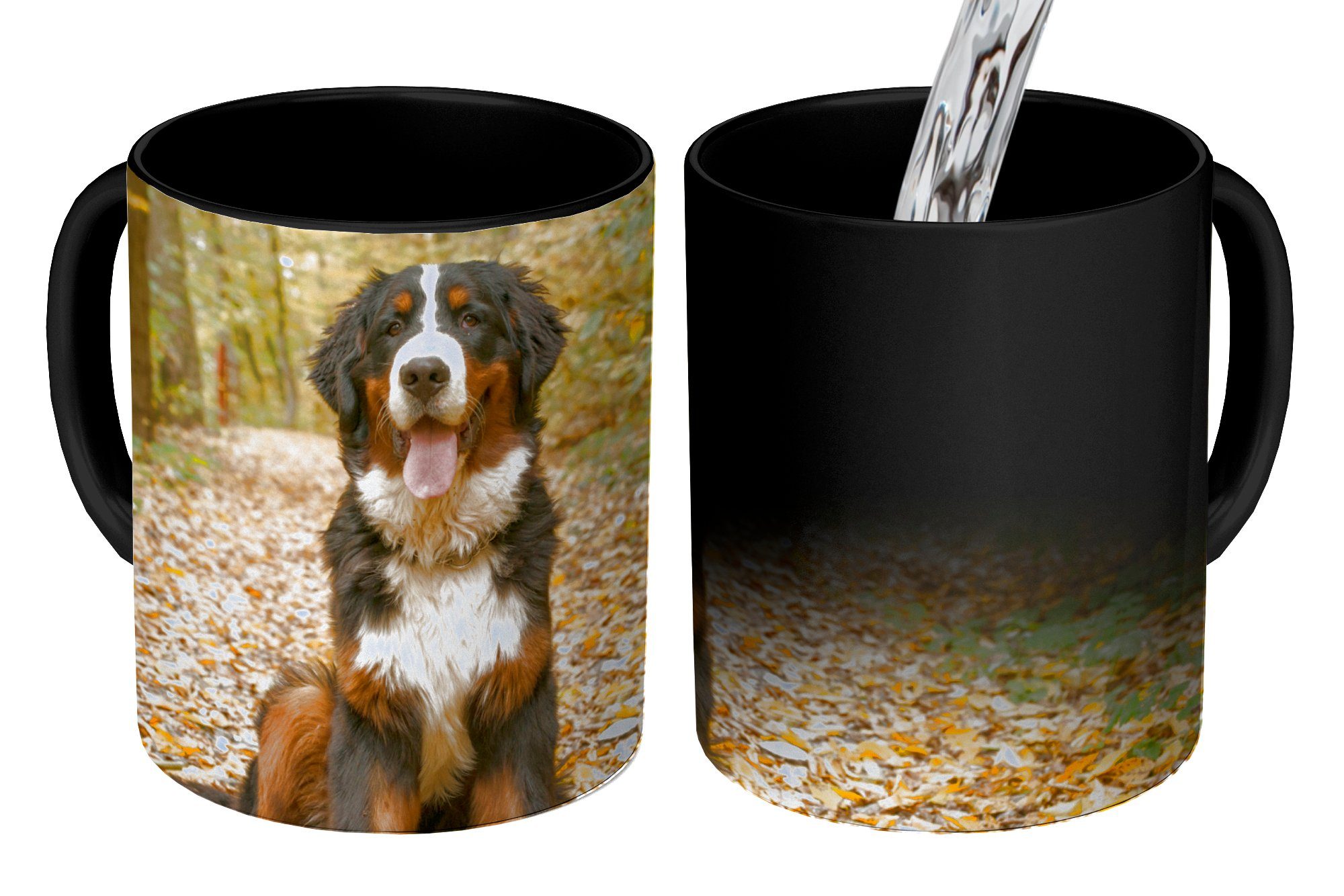 MuchoWow Tasse Ein Berner Sennenhund mit schönem Herbstlaub, Keramik, Farbwechsel, Kaffeetassen, Teetasse, Zaubertasse, Geschenk