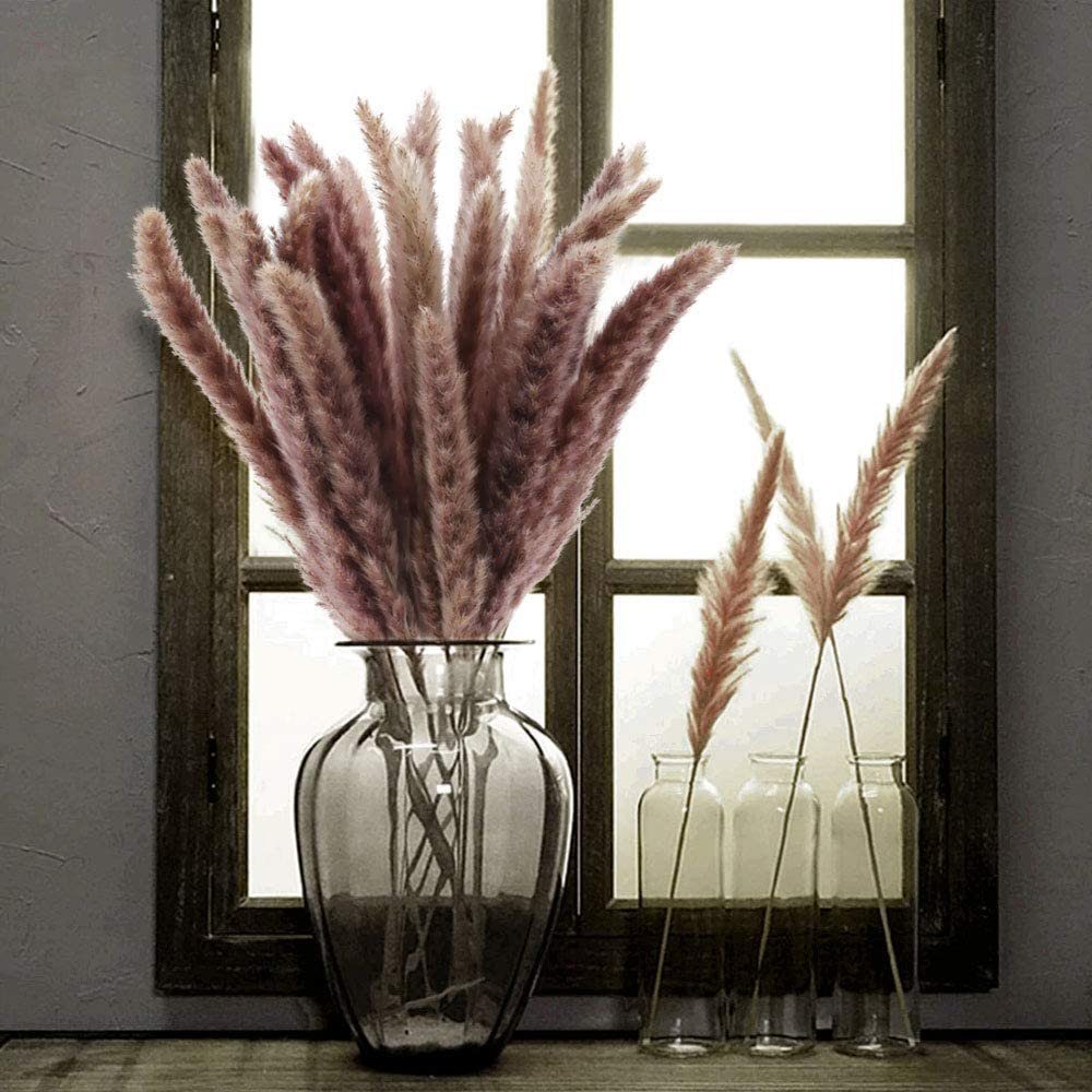 Trockenblume Pampasgras Fluffy getrocknet 35g, ca. 8-10 Stiele 75-80cm in natur