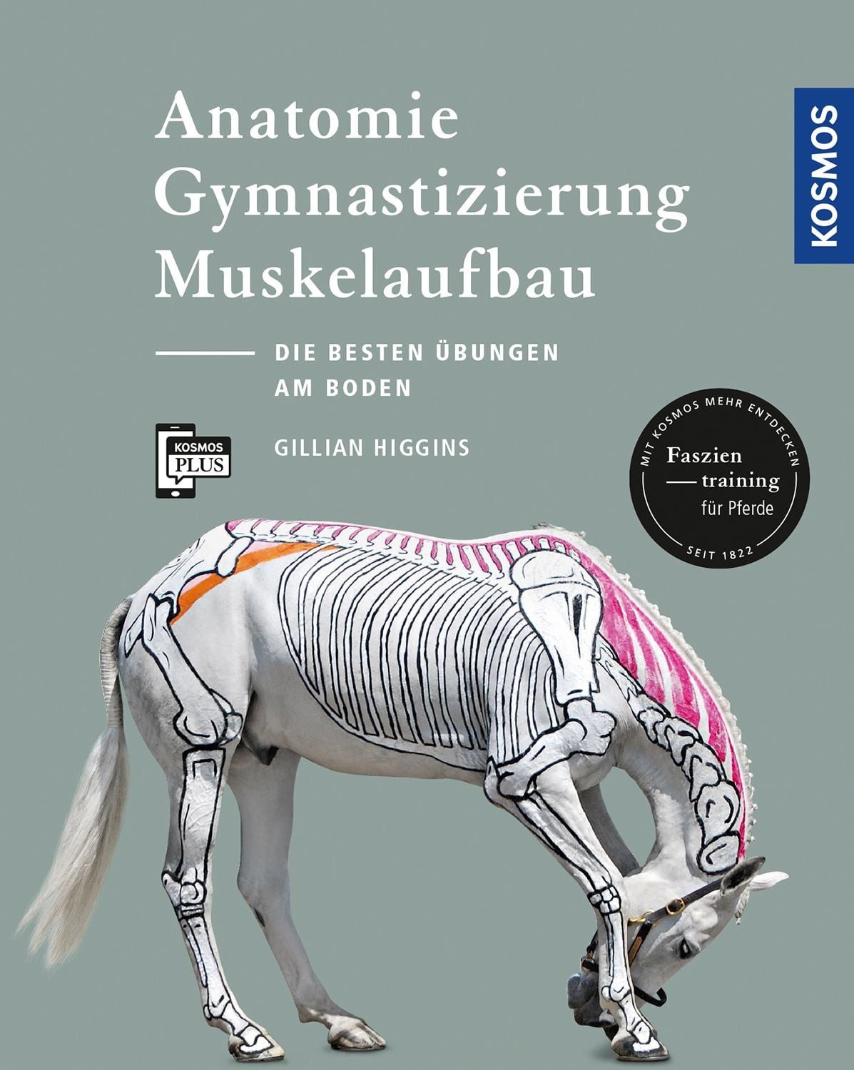 Anatomie, Gymnastizierung, Muskelaufbau Die besten Übungen für Pferde / Gillian Higgins, X