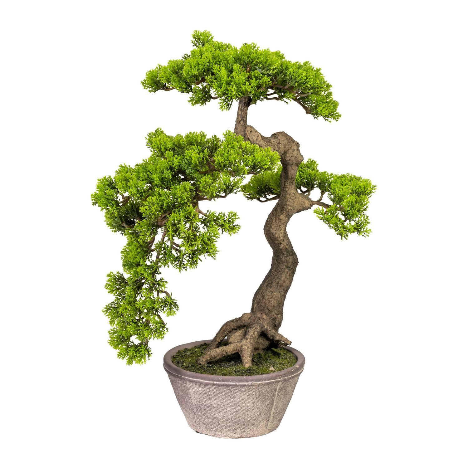 Kunstbonsai Künstlicher Bonsai Zeder HanKengai ca 52 cm in
