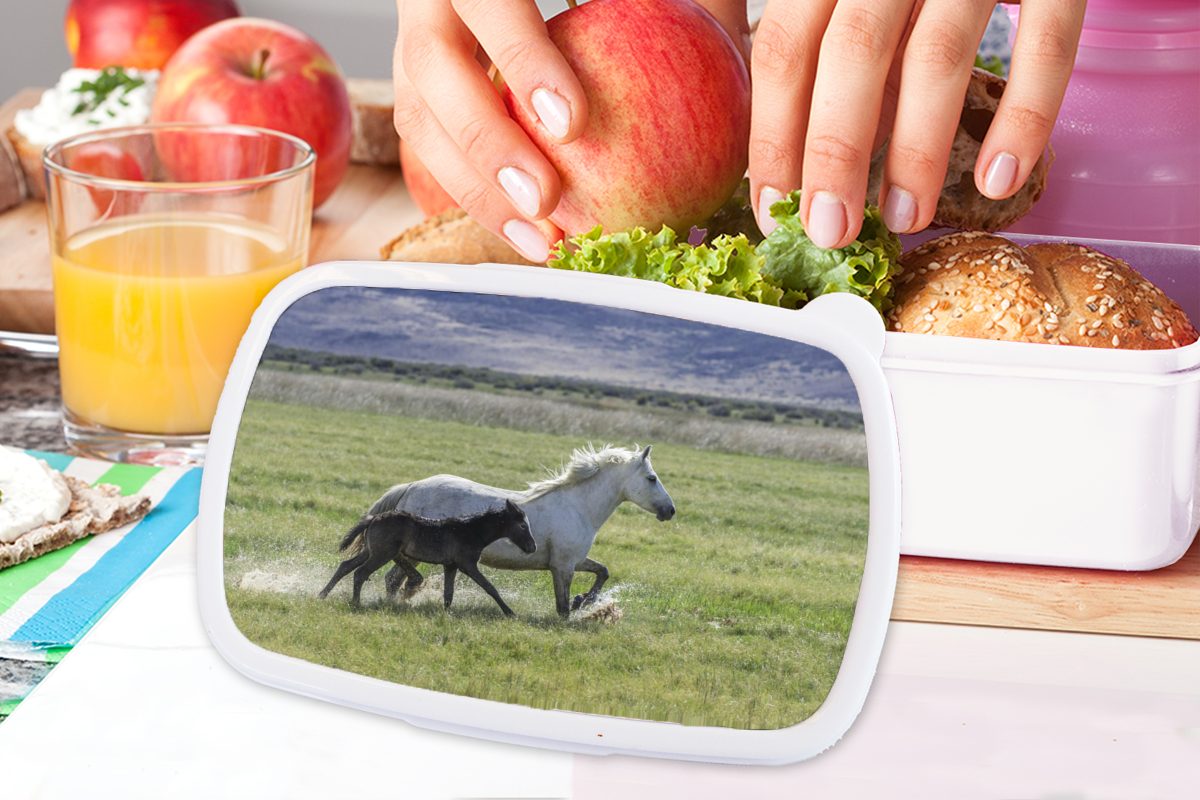 MuchoWow Lunchbox Pferde - Fohlen Brotdose, Braun, Jungs (2-tlg), für und - Mädchen weiß Erwachsene, für Kinder Kunststoff, Brotbox und