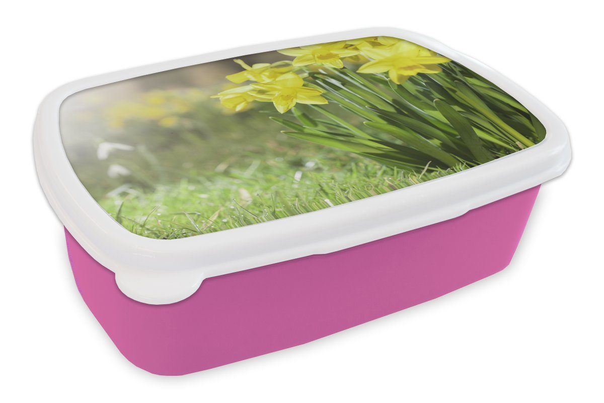 MuchoWow Lunchbox Narzisse Frühling, Mädchen, Kunststoff, - für (2-tlg), Erwachsene, Kunststoff Snackbox, Gelb Brotbox Kinder, Brotdose - rosa