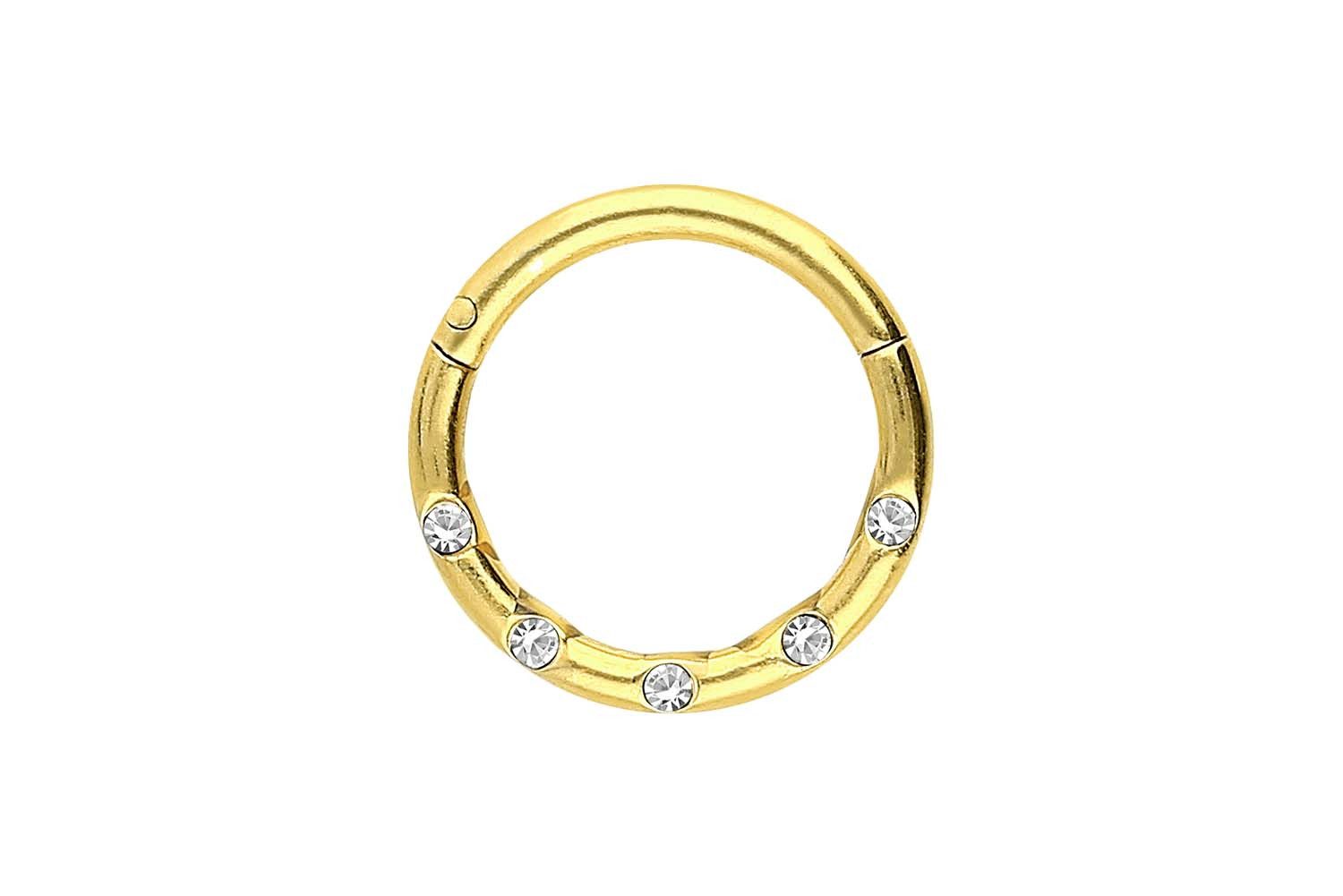 Nasenpiercing Chirurgenstahl Segmentring Clicker 5 KRISTALLE Ohrpiercing Septum Nase