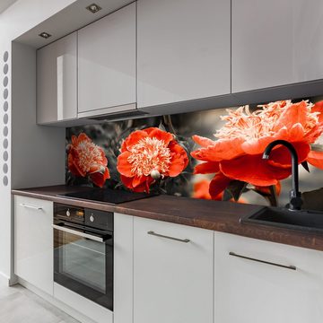 wandmotiv24 Küchenrückwand Blume Rot Kontrast Fokus Schwarz Weiß, (1-tlg), Premium Hartschaum Nischenrückwand in versch. Größen
