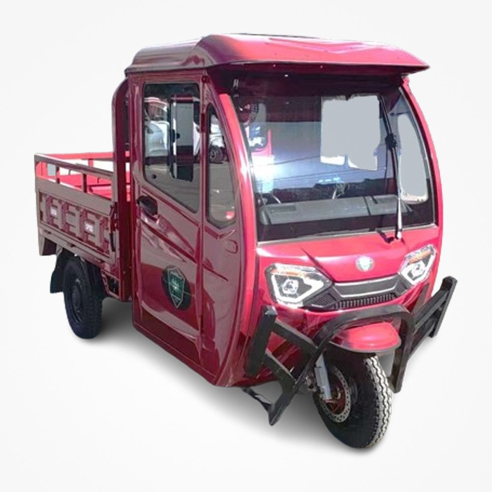 E-Motorroller 3-Rad Elektro Cargo Pritsche mit Kippfunktion "PETIT"