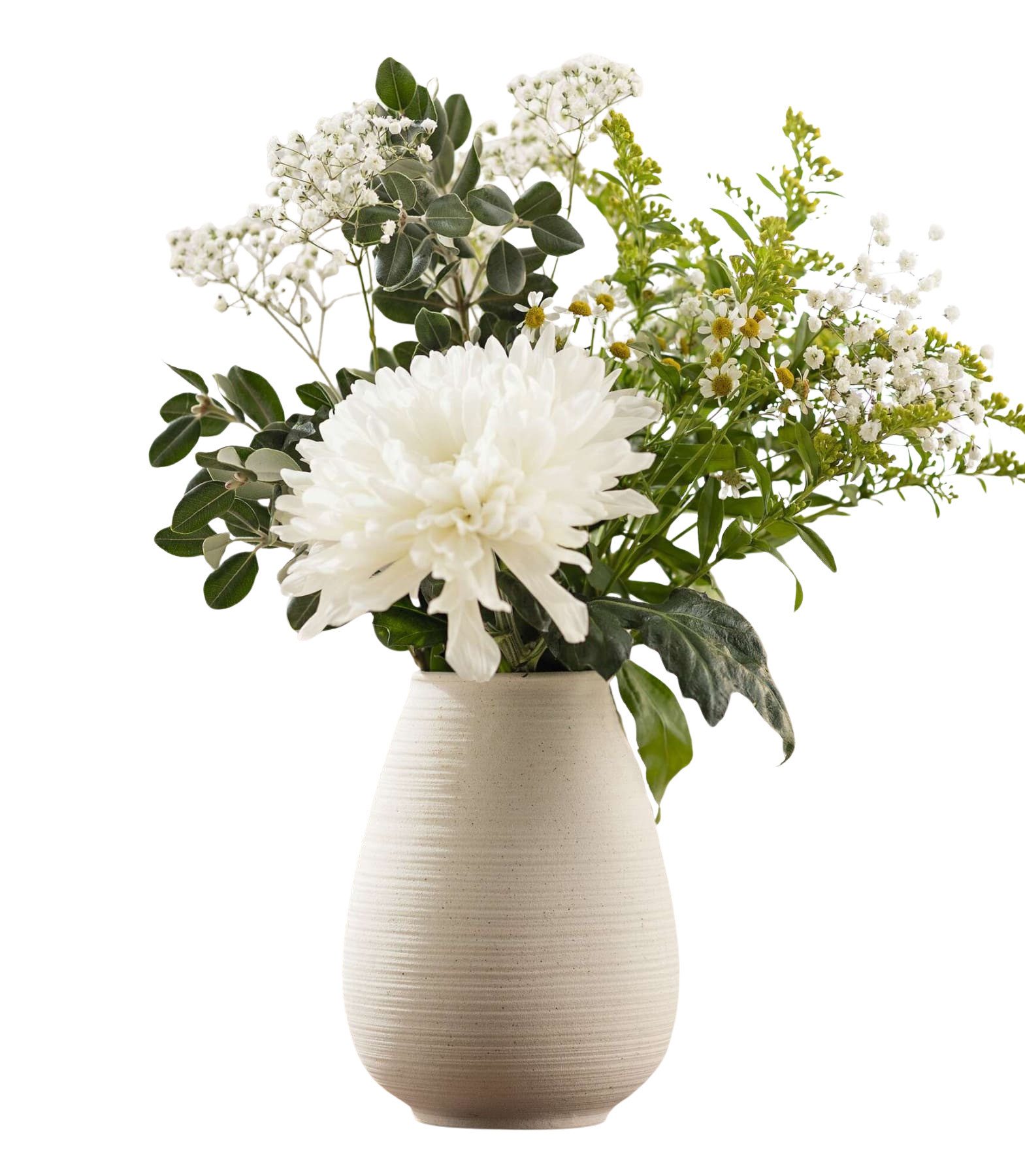 Dekoleidenschaft Dekovase "Ecru" Vase aus Porzellan, beige matt, Blumenvase günstig online kaufen