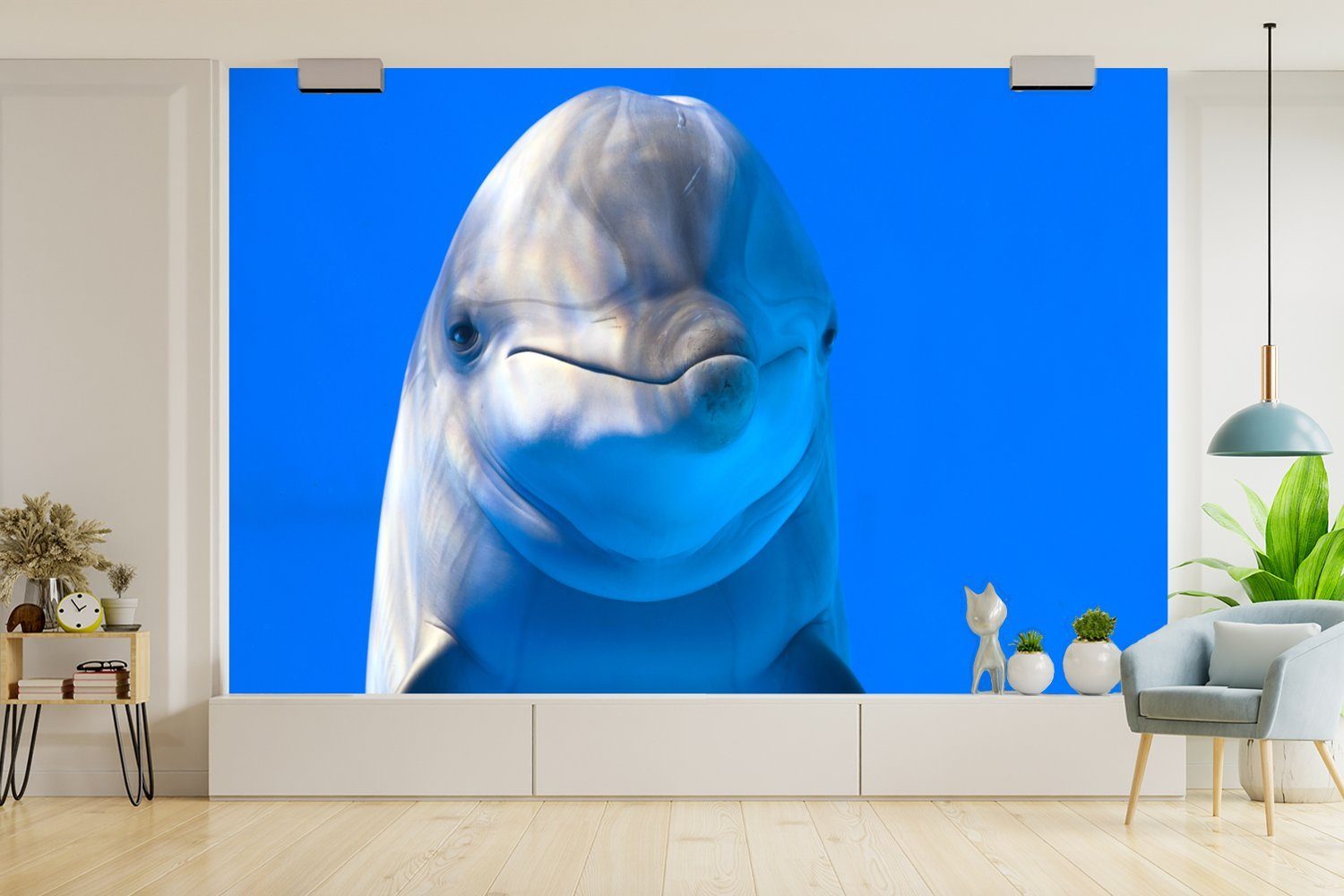 MuchoWow Fototapete Delfin in einem St), Matt, für Tapete Wallpaper Kinderzimmer, Wohnzimmer, (6 Vinyl Aquarium, bedruckt, Schlafzimmer