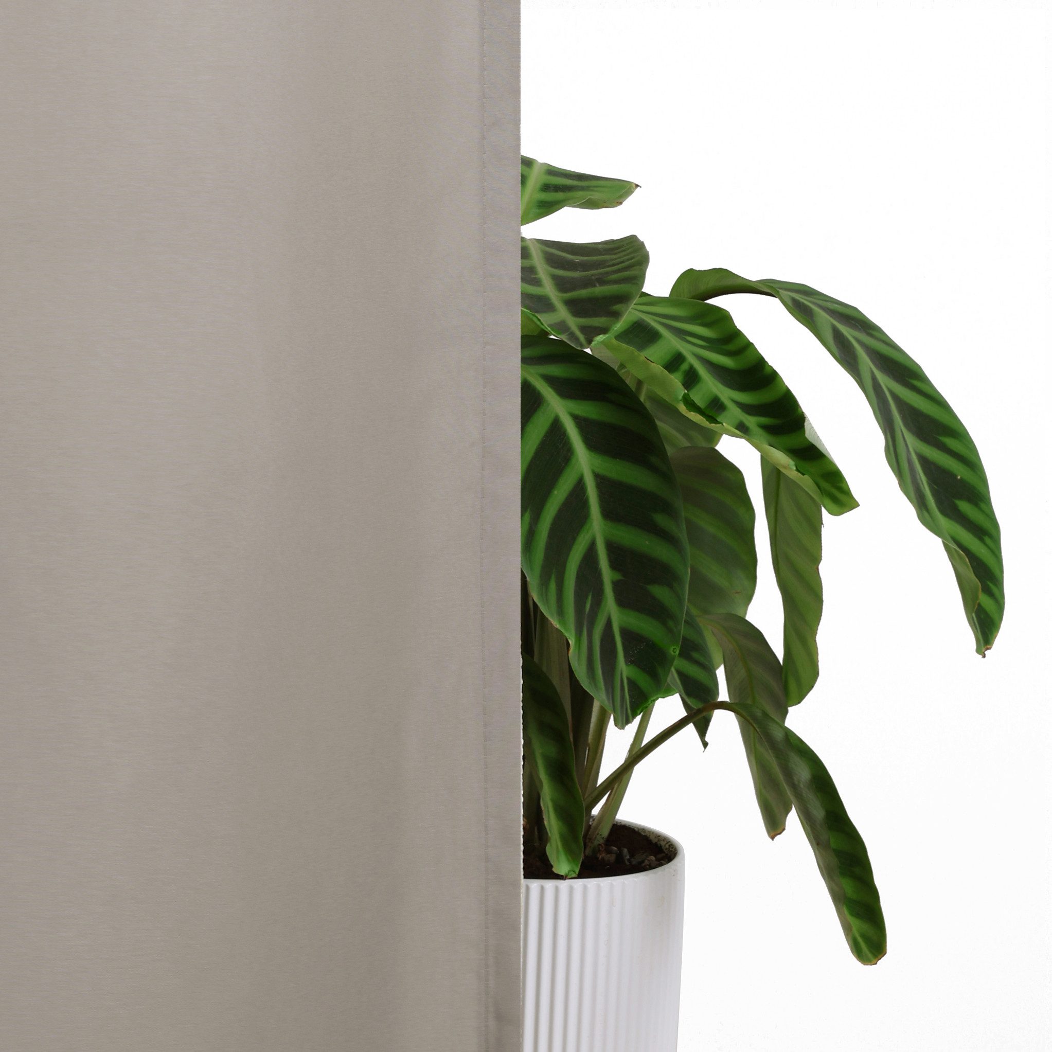OTTO home Vorhang Raja mit Schlaufen, 2er Pack, blickdicht, Topseller (2 St), Schlaufen, blickdicht, Polyester, 2er-Set, Bestseller, einfarbig, modern, pflegele – Bild 5 von 5