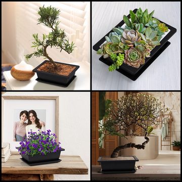 Belle Vous Blumentopf Bonsai Set - 6 STK Trainingspflanzen, 6 STK TrainingsBonsai Set 16,5 x 22,5cm Kunststoff Blumentopf
