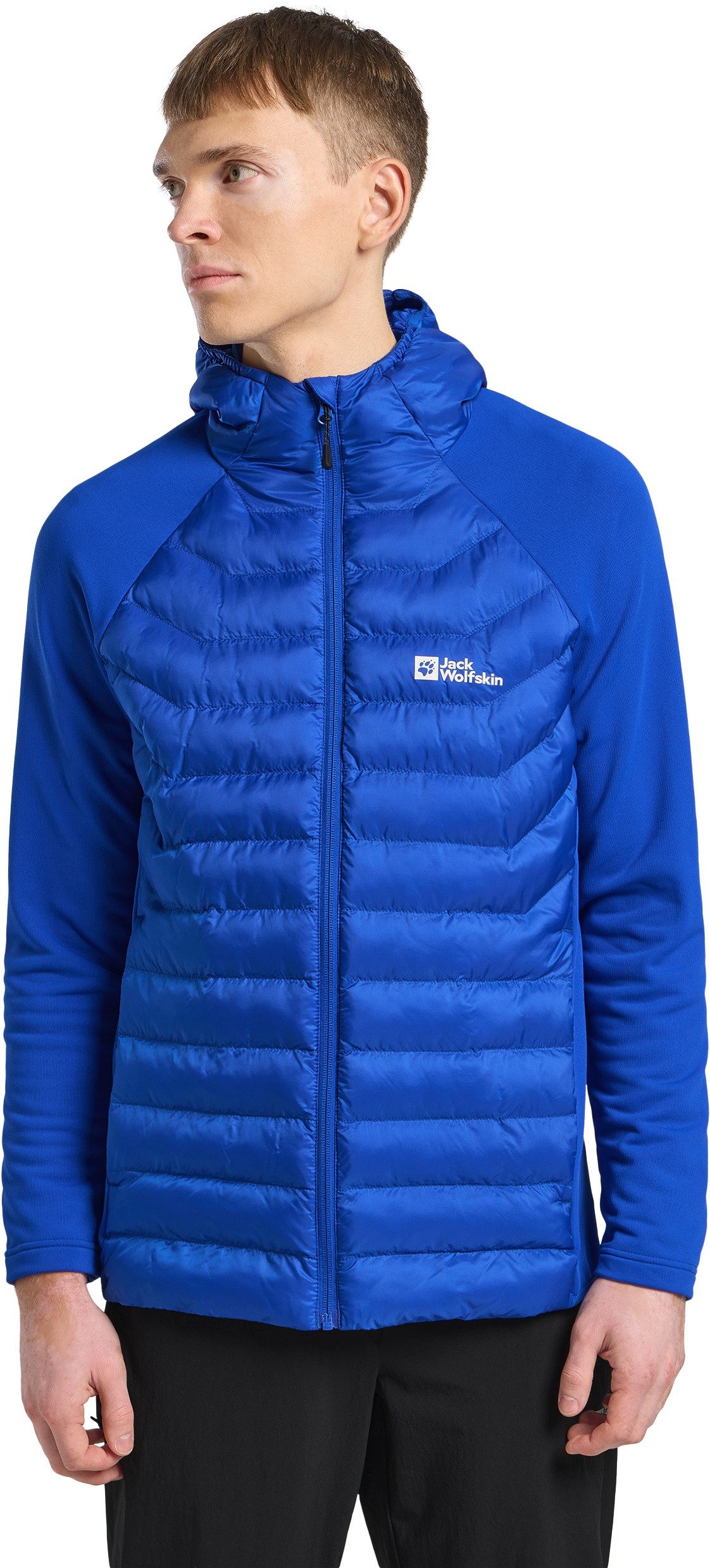 Jack Wolfskin Hybridjacke ROUTEBURN PRO HYBRID günstig online kaufen