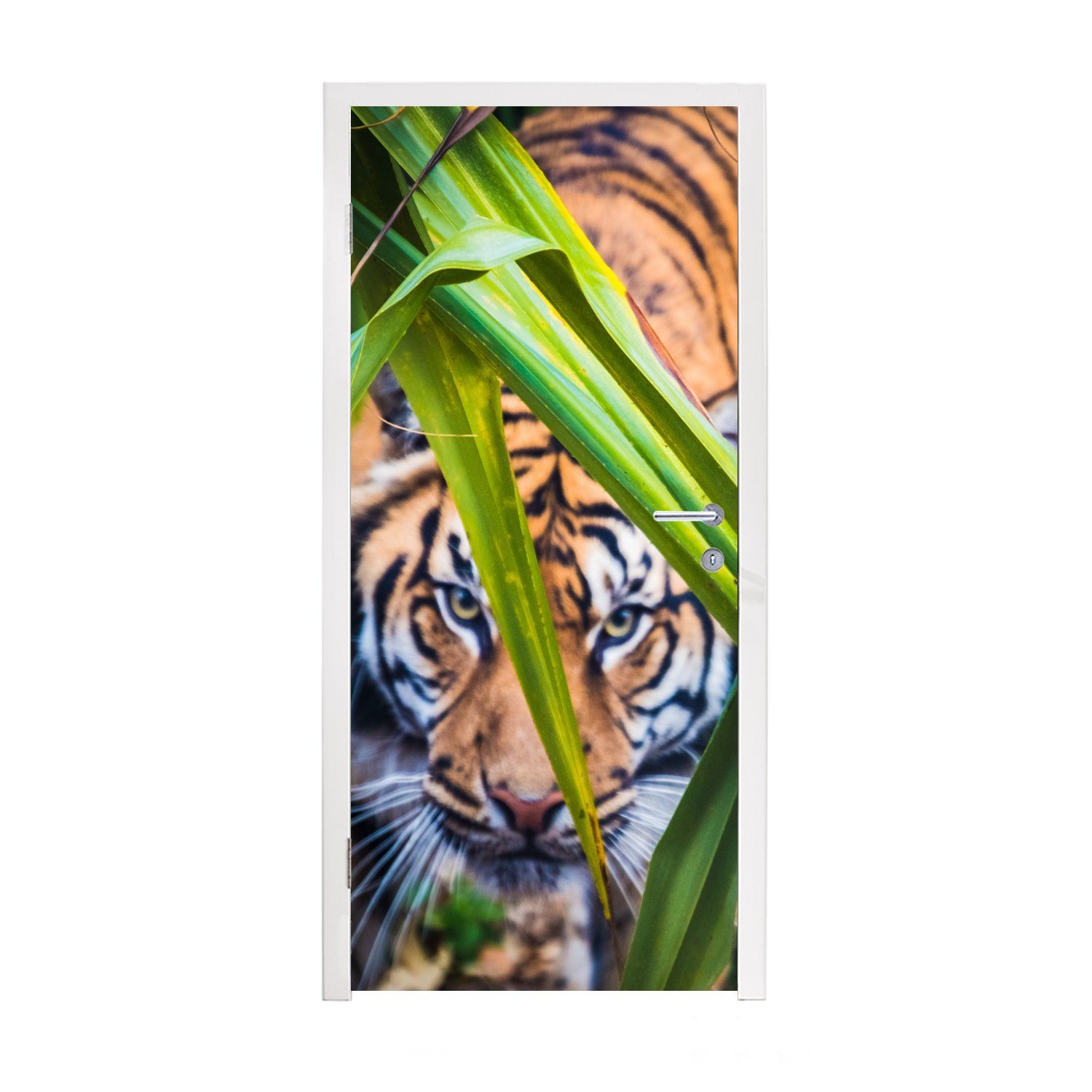 MuchoWow Türtapete Versteckter Sumatra-Tiger im Laub, Matt, bedruckt, (1 St), Fototapete für Tür, Türaufkleber, 75x205 cm