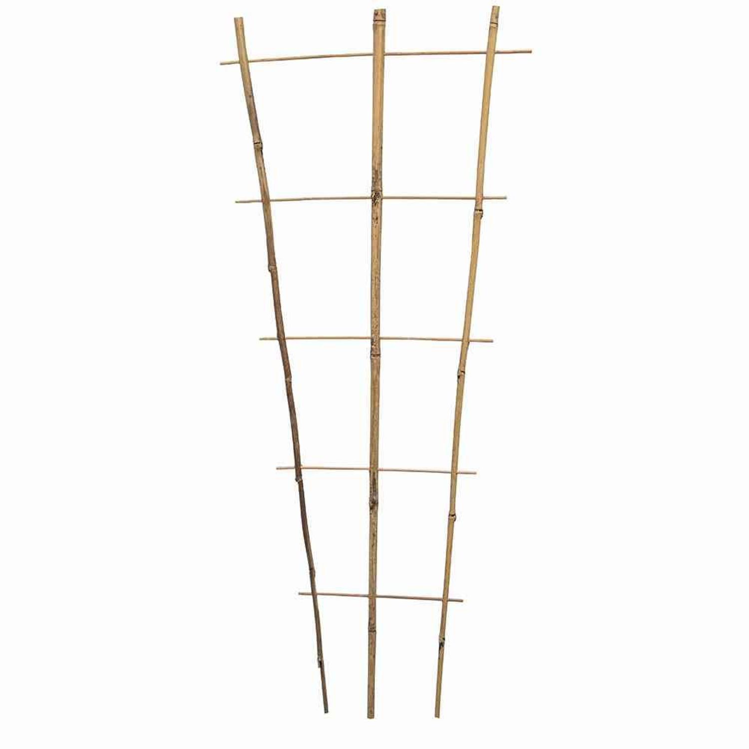Siena Garden Rankgitter Bambus Rankgitter 110 günstig online kaufen