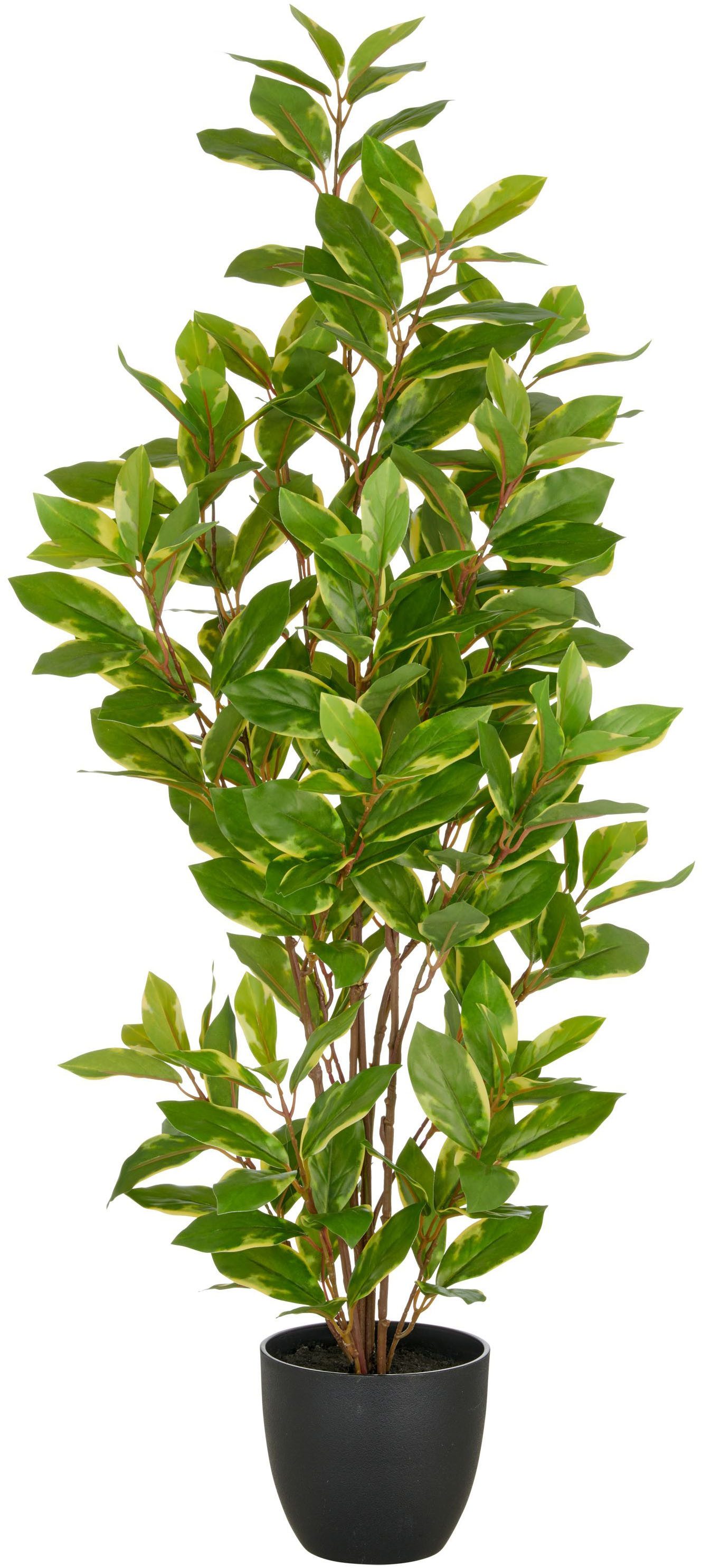 Kunstpflanze Epipremnum aureum, Creativ green, Höhe 90 cm, mit schönem Blat günstig online kaufen