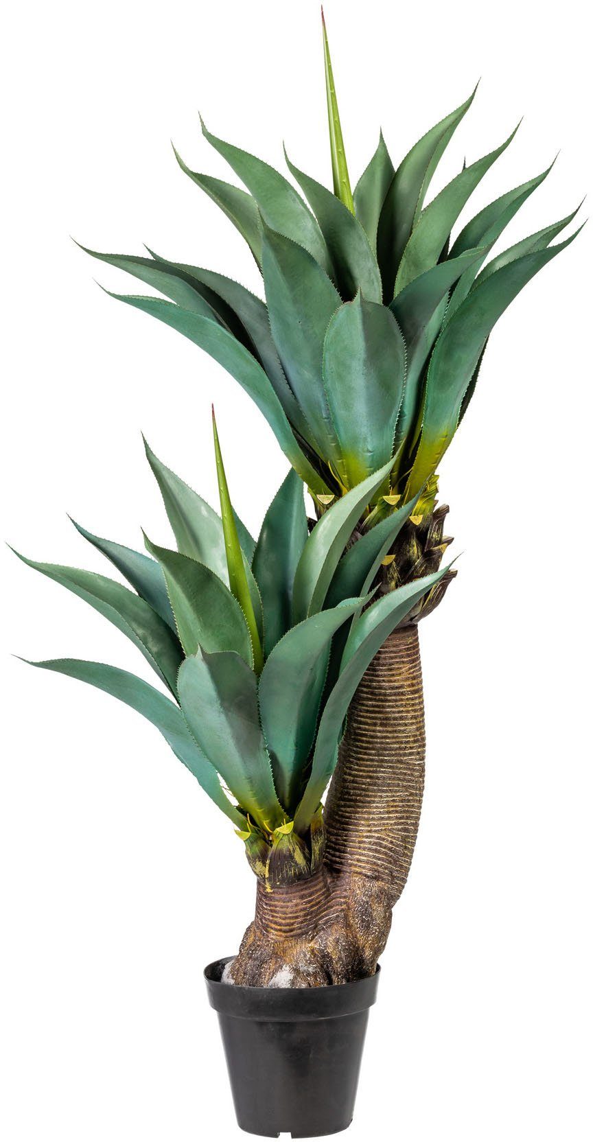 Höhe Sukkulente, Creativ Zimmerpflanze green, 150 cm Künstliche Agave