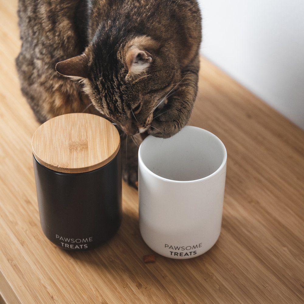 LucyBalu Futterbehälter Luftdichte Katzenfutter- & Leckerlidose aus Keramik mit Bambus-Deckel