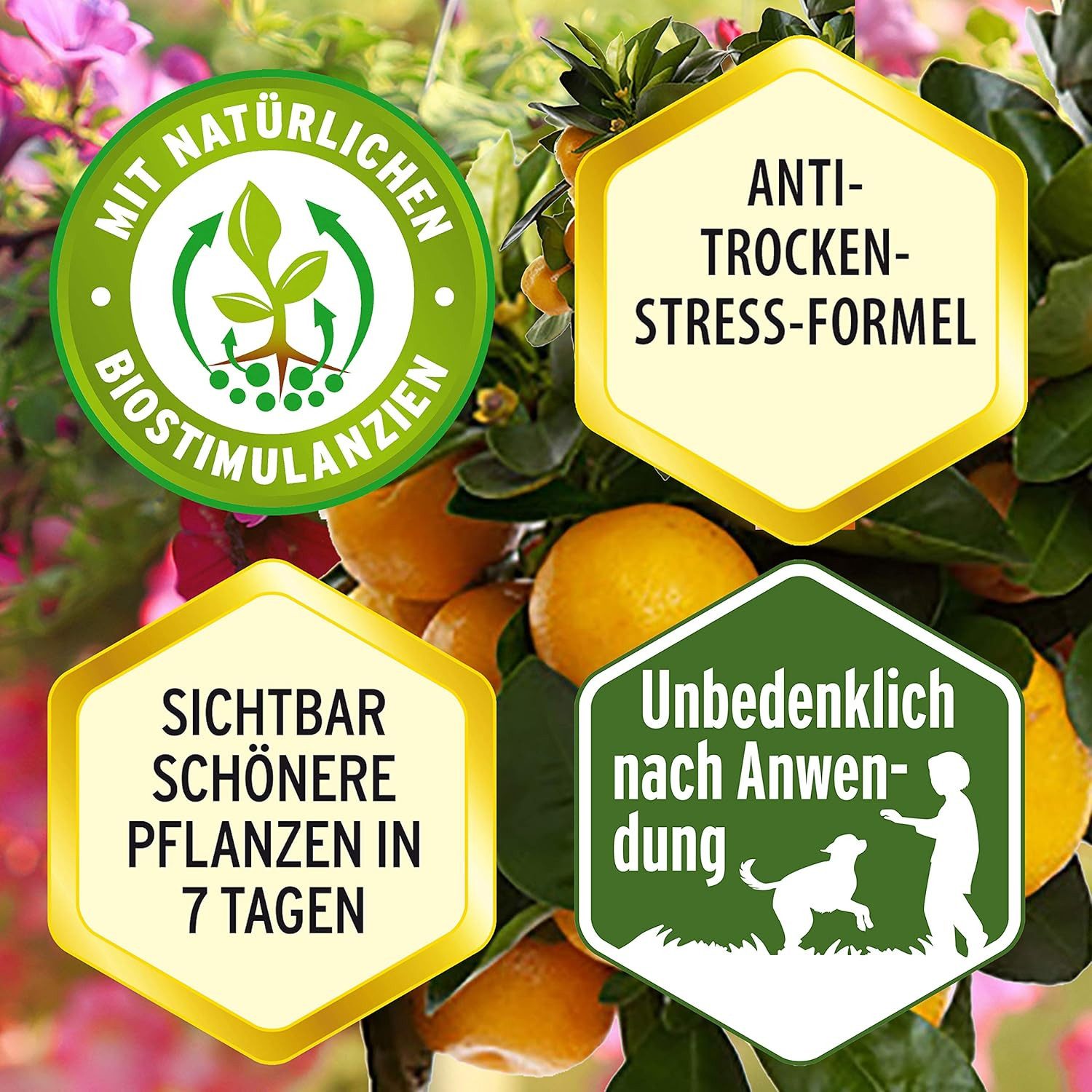 Substral Eisendünger Substral Eisendünger, Flüssigdünger gegen Eisenmangel 250 ml
