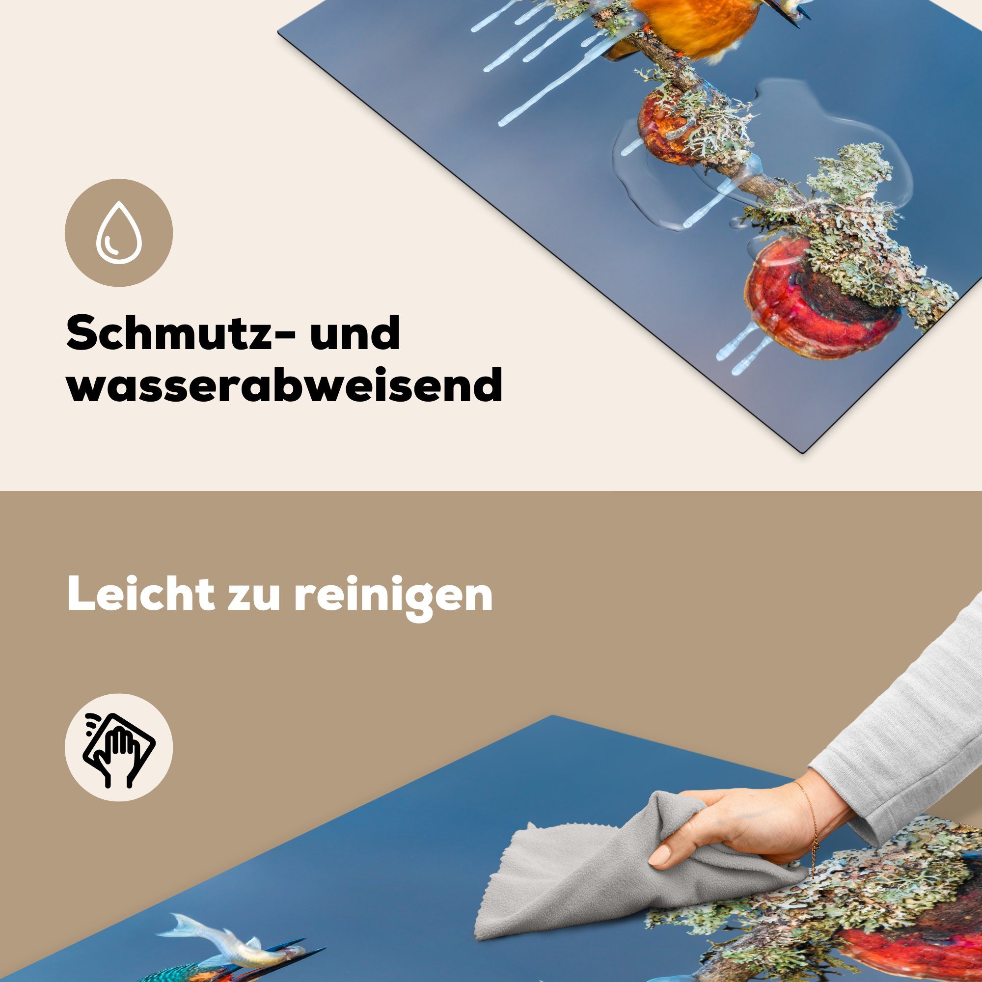 Ceranfeldabdeckung küche, (1 Fisch, 81x52 tlg), - Vinyl, Induktionskochfeld cm, Schutz die Zweig für Herdblende-/Abdeckplatte MuchoWow Eisvogel -