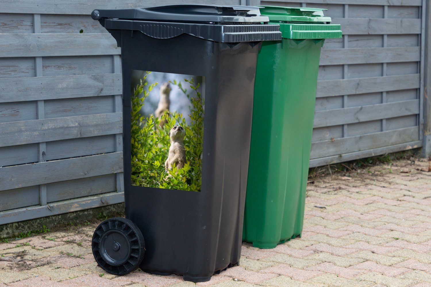 (1 Büsche Mülltonne, Abfalbehälter Erdmännchen Wandsticker - - MuchoWow Container, Sticker, St), Tier Mülleimer-aufkleber,