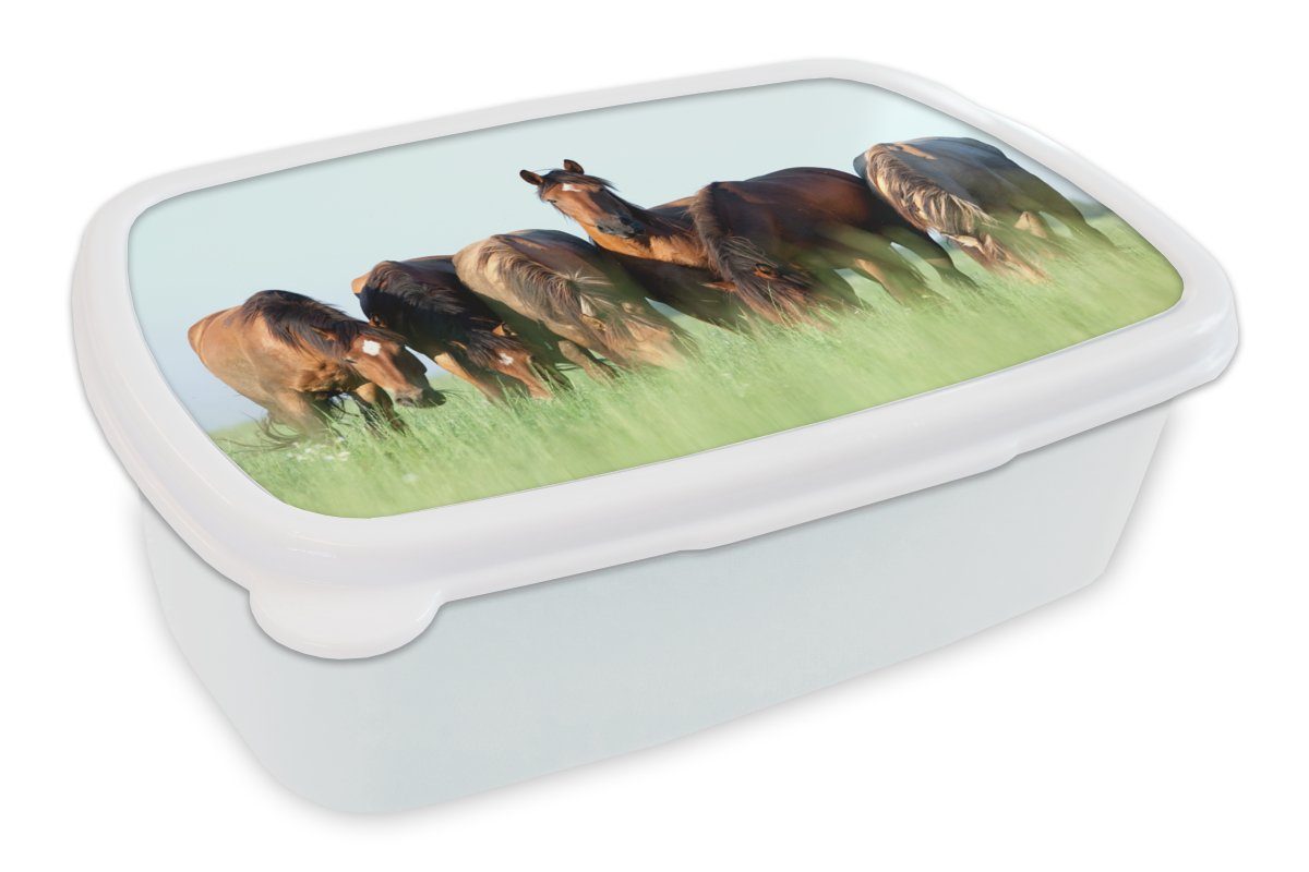 Tiere - Brotbox Erwachsene, Jungs Brotdose, (2-tlg), Kunststoff, - MuchoWow für für - Gras und Pferde weiß Mädchen Lunchbox Kinder Sommer, und