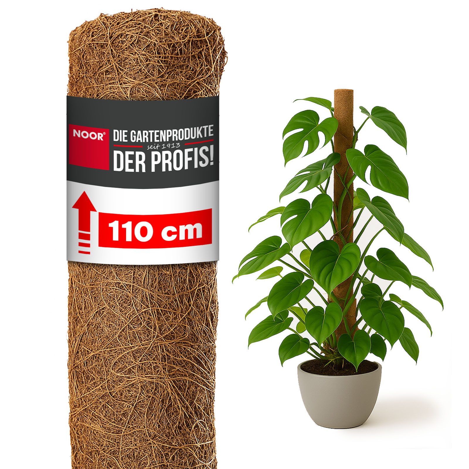 NOOR Rankhilfe Kokos-Rankstab mit Holzstiel - verlängerbar - ideale Wachstu günstig online kaufen