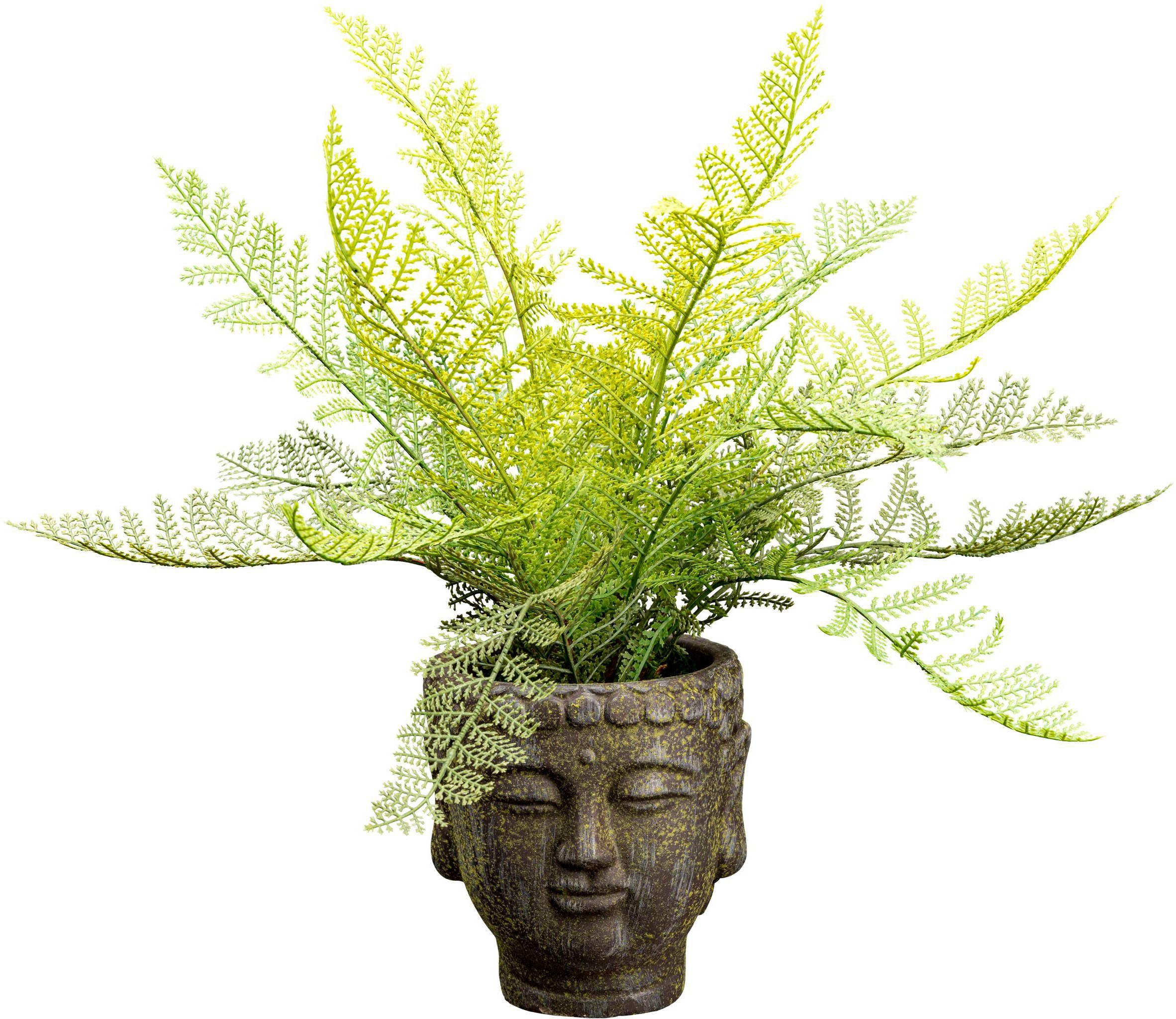 Kunstpflanze Farnbusch Farn, Creativ green, Höhe günstig online kaufen