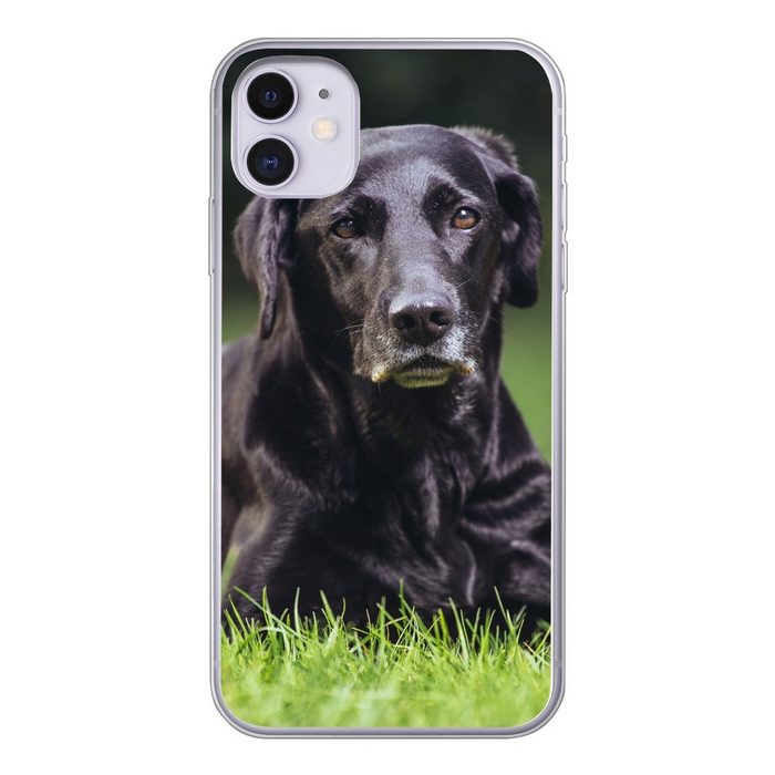 MuchoWow Handyhülle Ein schwarzer Labrador im Gras Handyhülle Apple iPhone 11 Smartphone-Bumper Print Handy