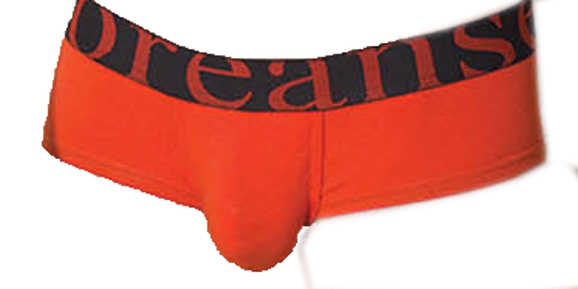 DOREANSE Boxer Doreanse Boxer Hipster Trunk Herren 1779 mit Logo Webbund