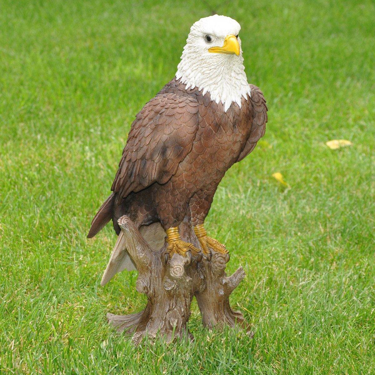 dazikemo Gartenfigur Dekofigur Gartenfigur Weißkopfseeadler – Bild 2 von 5