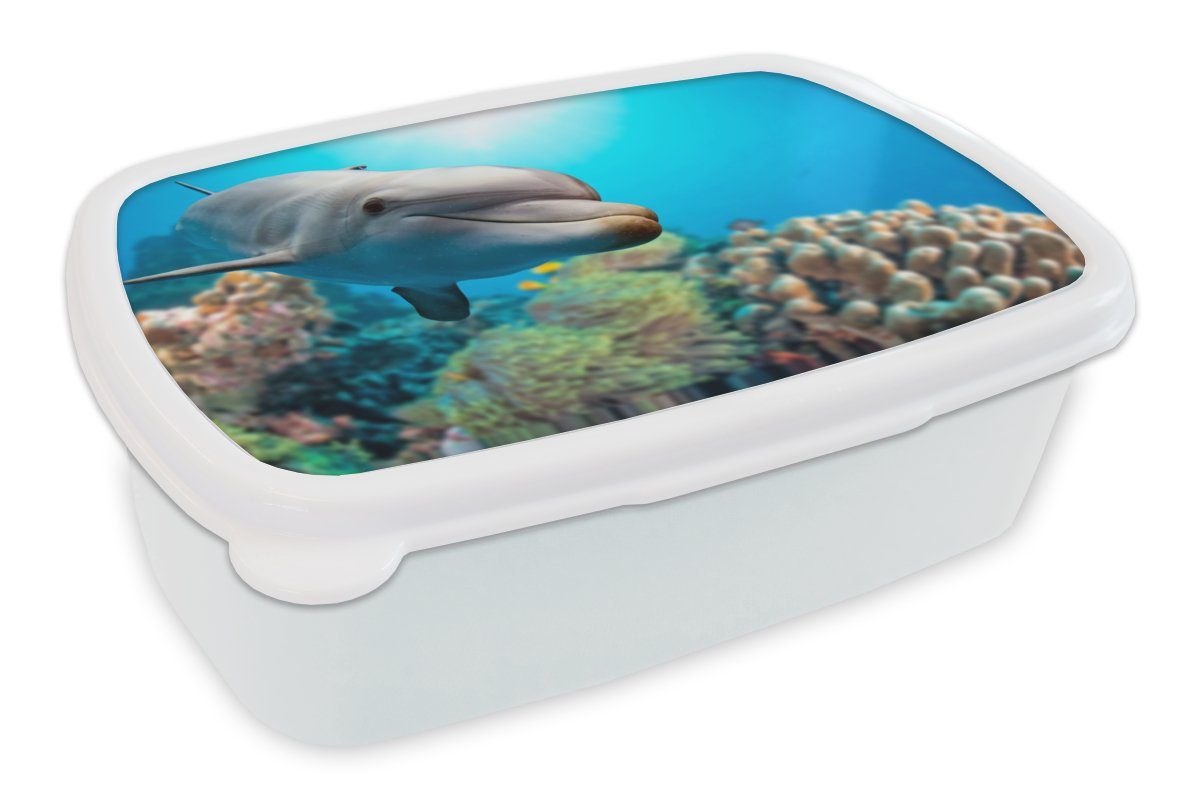 MuchoWow Lunchbox Delfin - Meer - Koralle, Kunststoff, (2-tlg), Brotbox für Kinder und Erwachsene, Brotdose, für Jungs und Mädchen weiß
