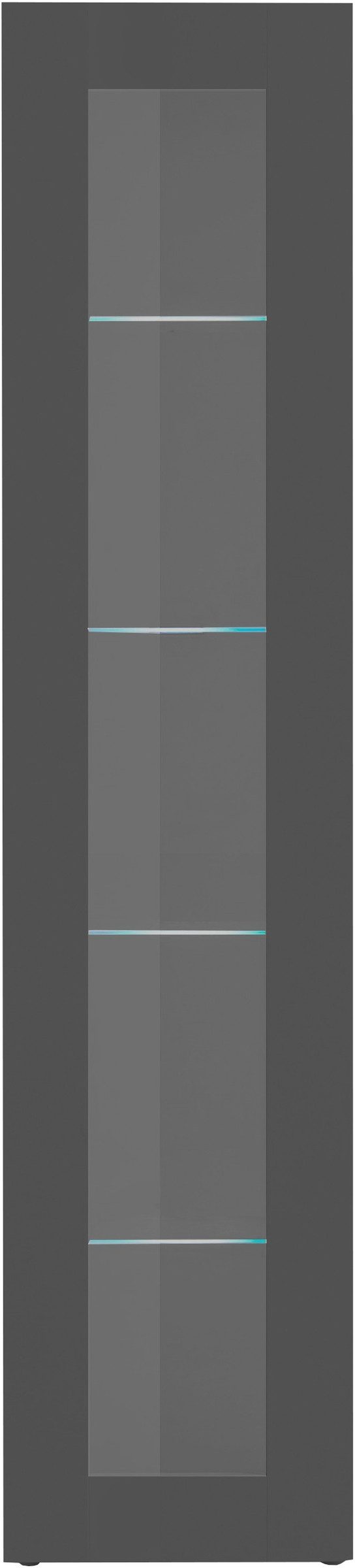 freiraum Vitrine Benevent in Anthrazit matt - 40x180x30cm (BxHxT) günstig online kaufen