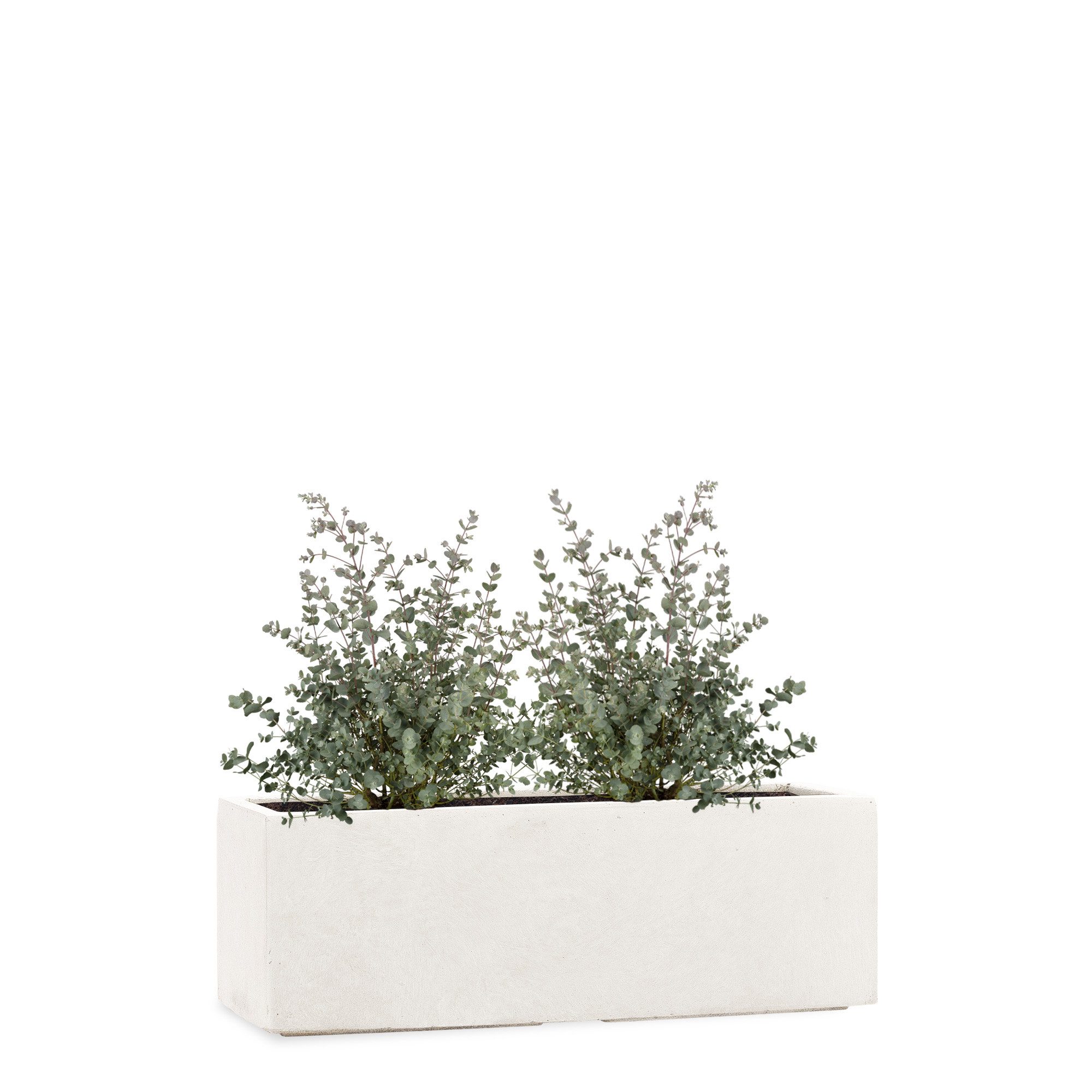Pflanzwerk® Pflanzkübel TUB Frostbeständiger Fensterbank Premium Blumenkübel mit Lotus-Effekt, Fiberglas - Handgefertigt - Rechteckig – Frostbeständig