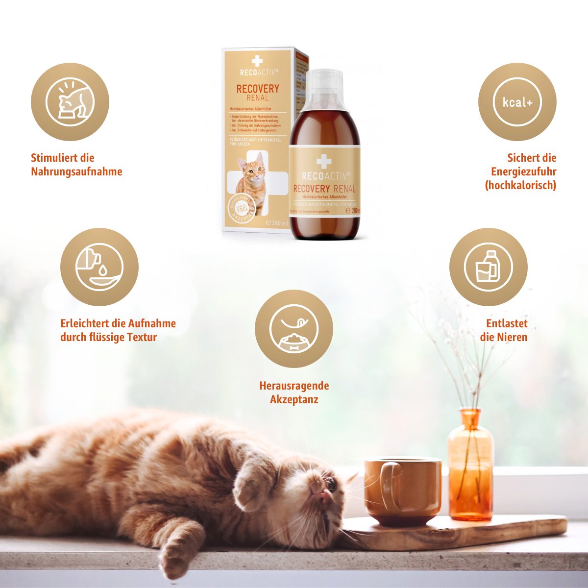 RECOACTIV Recovery Renal Tonicum, Ergänzungsfuttermittel für: Katze