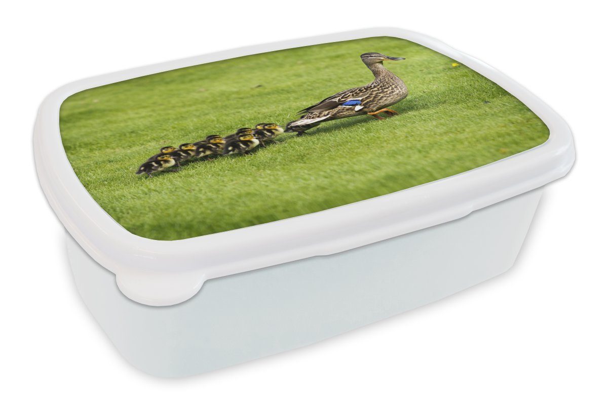 MuchoWow Lunchbox Ente Kinder für Gras, Kunststoff, Brotbox Brotdose, Jungen für weiß und und Jungs im mit Erwachsene, (2-tlg), Mädchen