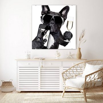 Primedeco Glasbild Wandbild Quadratisch Hund mit Prosecco und Handy mit Aufhängung, Tiere