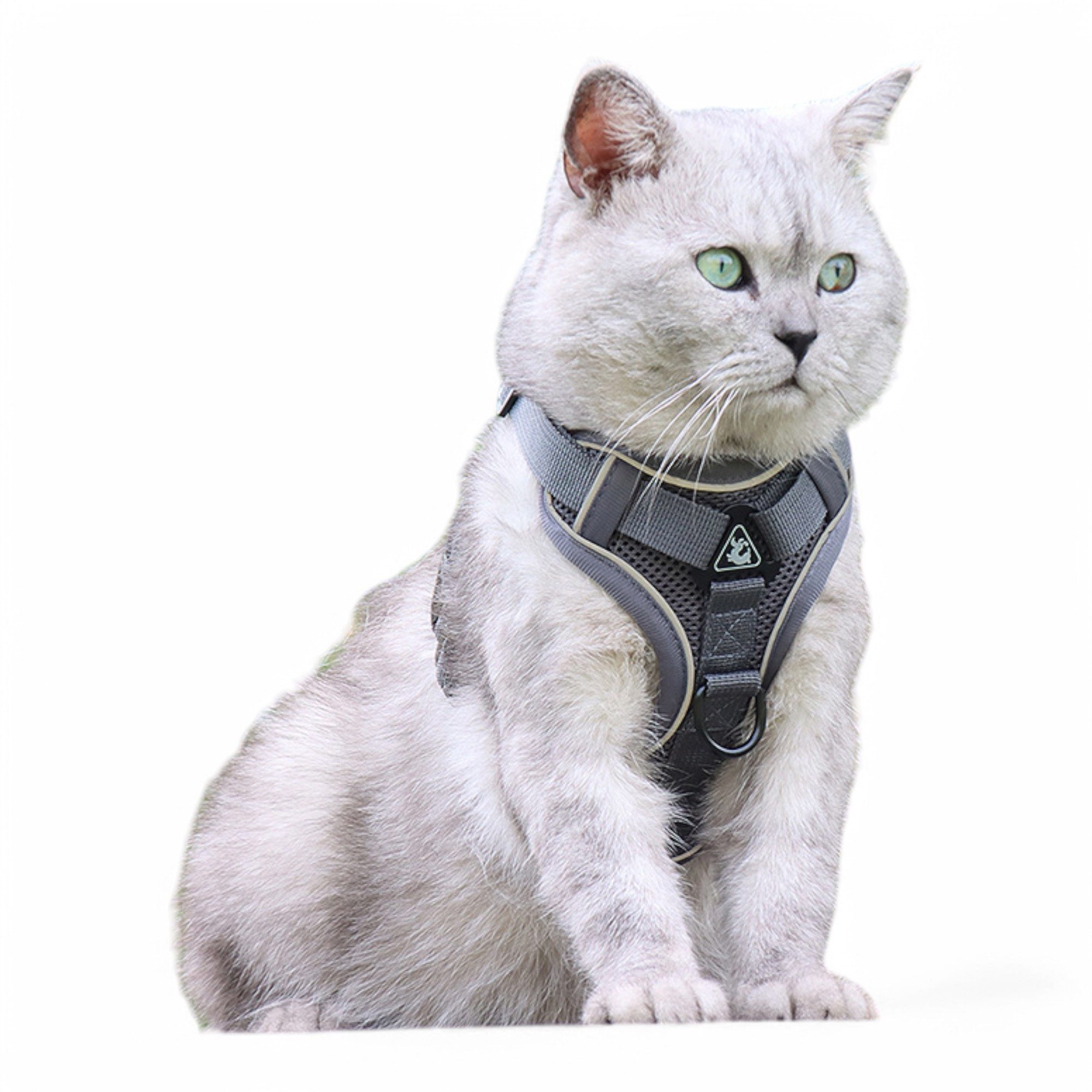 Eyecatcher Hunde-Geschirr Verstellbares Hunde-Geschirr-Set aus atmungsaktiv günstig online kaufen