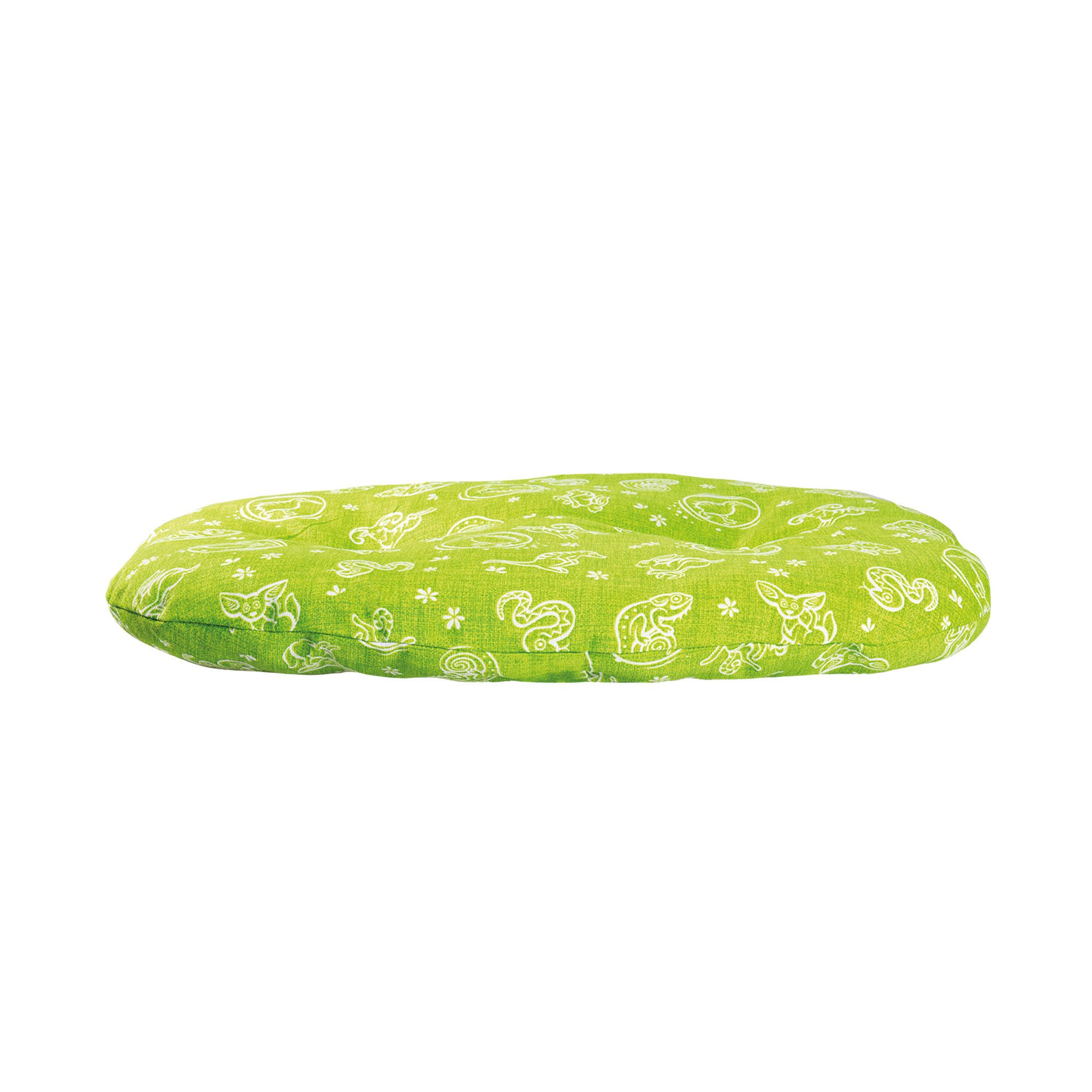 Kiwi Walker Tierkissen
